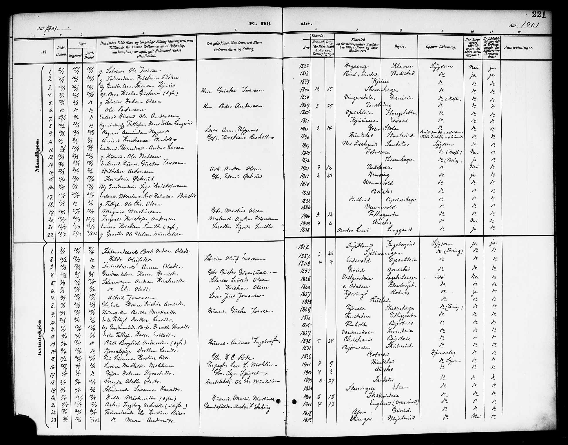 Nes prestekontor Kirkebøker, SAO/A-10410/G/Ga/L0002: Parish register (copy) no. I 2, 1901-1912, p. 221
