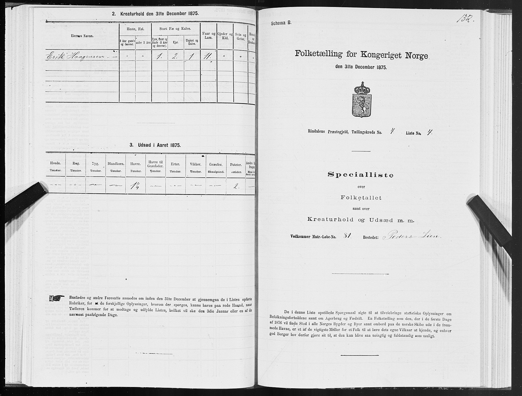 SAT, 1875 census for 1567P Rindal, 1875, p. 2132