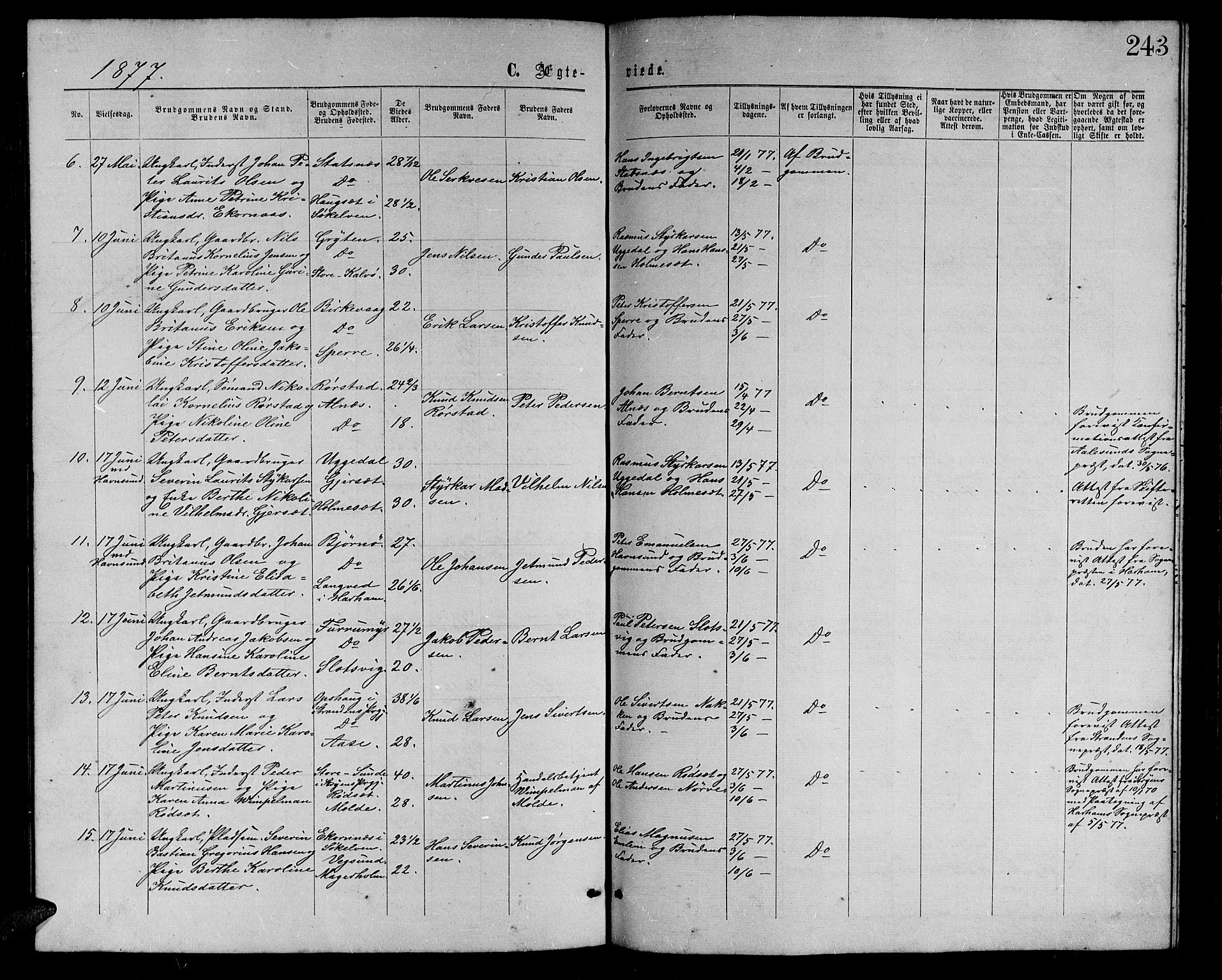 Ministerialprotokoller, klokkerbøker og fødselsregistre - Møre og Romsdal, AV/SAT-A-1454/528/L0428: Parish register (copy) no. 528C09, 1864-1880, p. 243