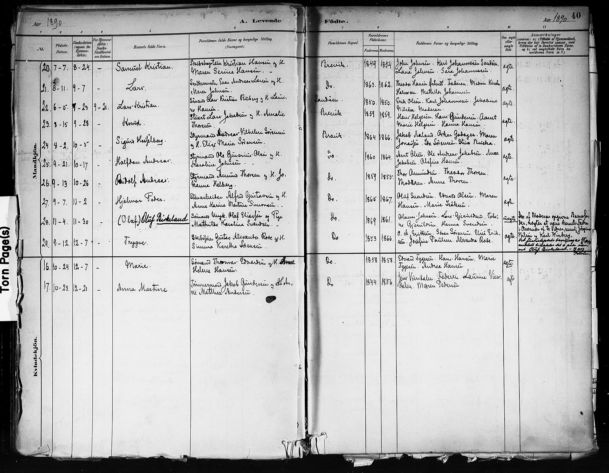 Brevik kirkebøker, SAKO/A-255/F/Fa/L0007: Parish register (official) no. 7, 1882-1900, p. 40