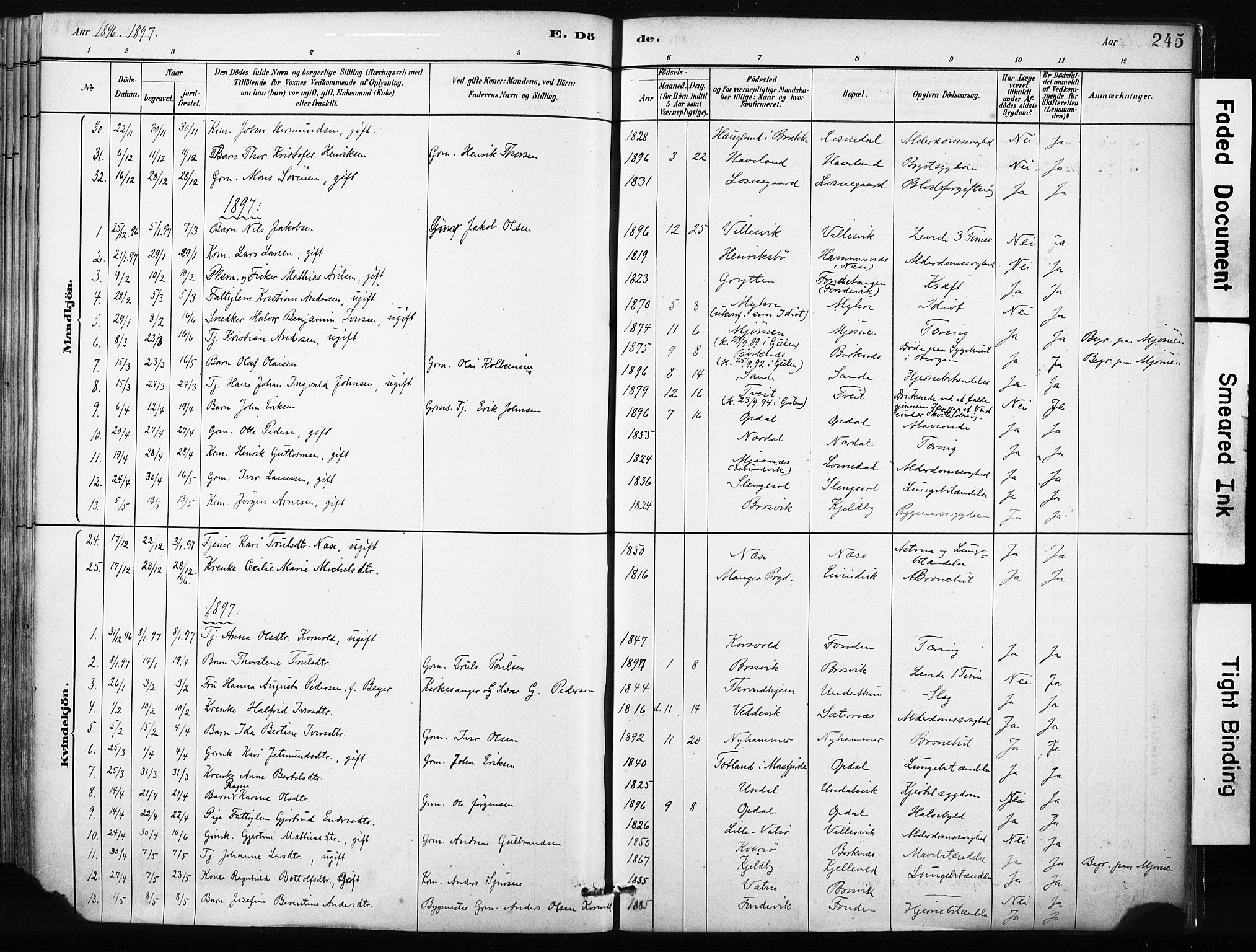Gulen sokneprestembete, SAB/A-80201/H/Haa/Haab/L0001: Parish register (official) no. B 1, 1881-1905, p. 245