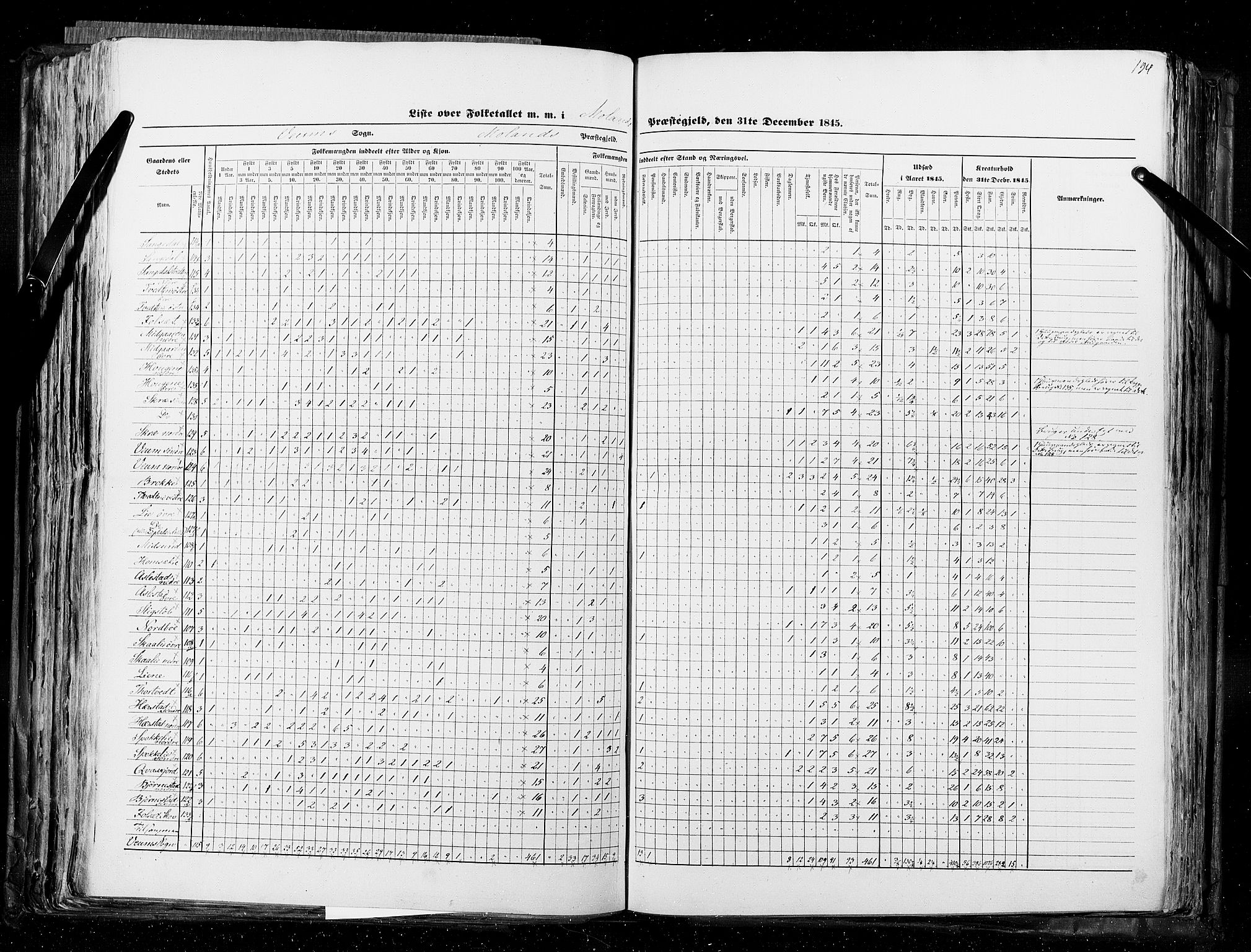 RA, Census 1845, vol. 5: Bratsberg amt og Nedenes og Råbyggelaget amt, 1845, p. 194