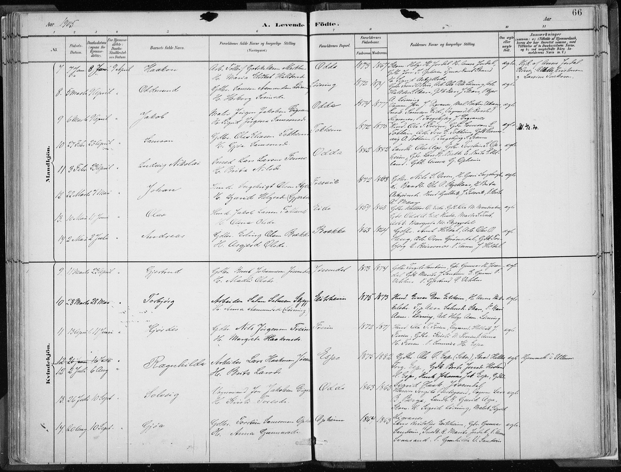 Odda Sokneprestembete, SAB/A-77201/H/Haa: Parish register (official) no. A  3, 1882-1913, p. 66