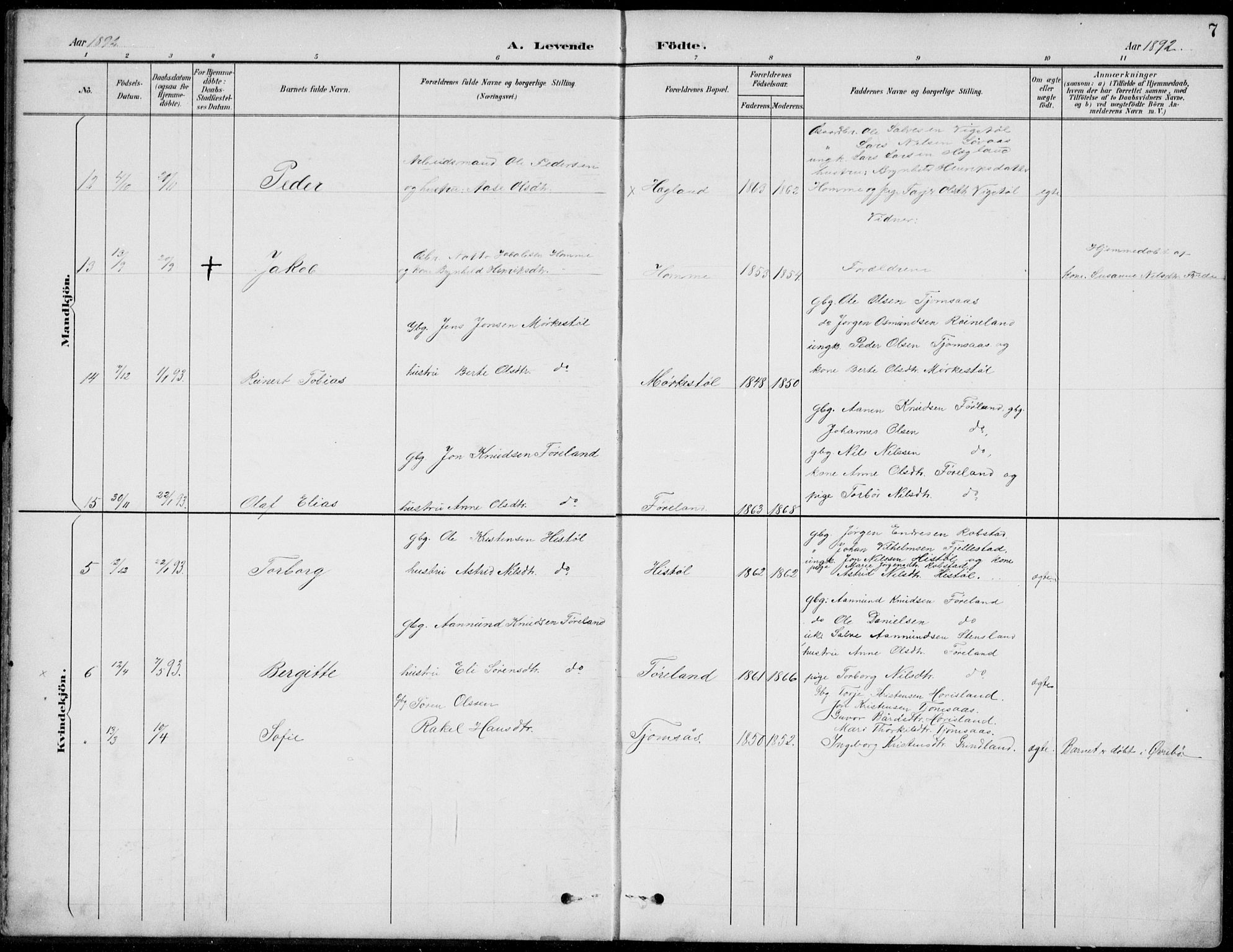 Vennesla sokneprestkontor, AV/SAK-1111-0045/Fb/Fba/L0003: Parish register (copy) no. B 3, 1890-1919, p. 7