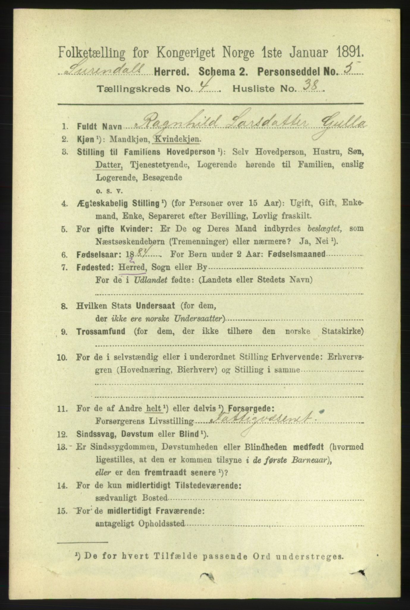 RA, 1891 census for 1566 Surnadal, 1891, p. 1381