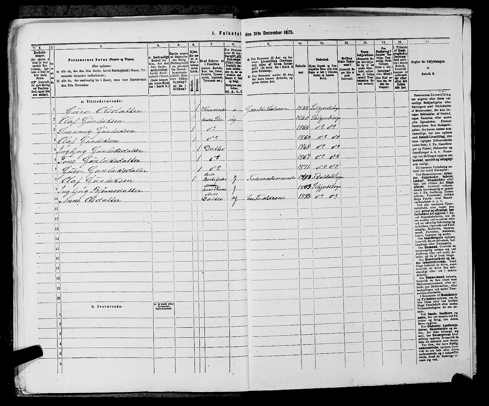 SAKO, 1875 census for 0828P Seljord, 1875, p. 809