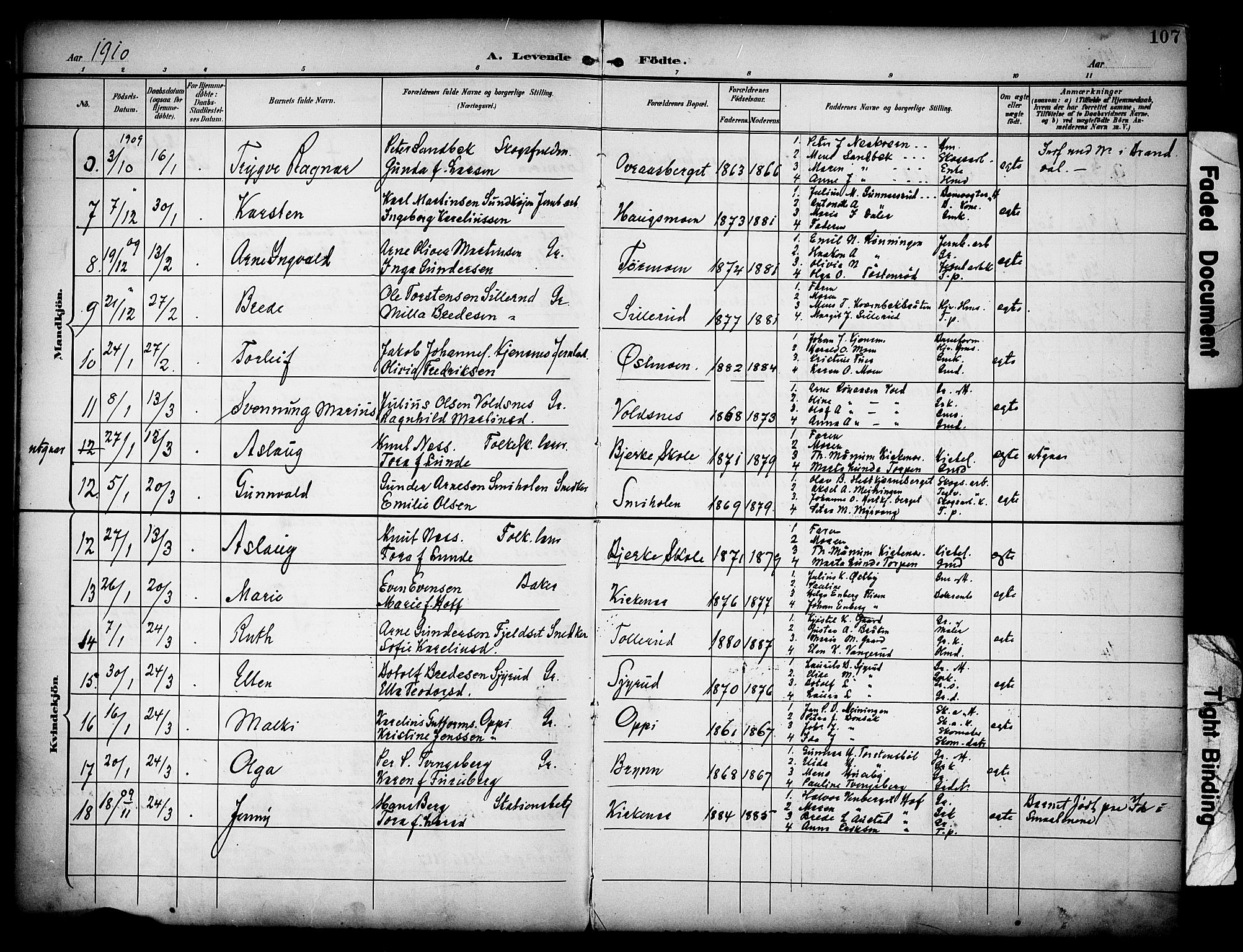 Grue prestekontor, AV/SAH-PREST-036/H/Ha/Haa/L0013: Parish register (official) no. 13, 1898-1910, p. 107