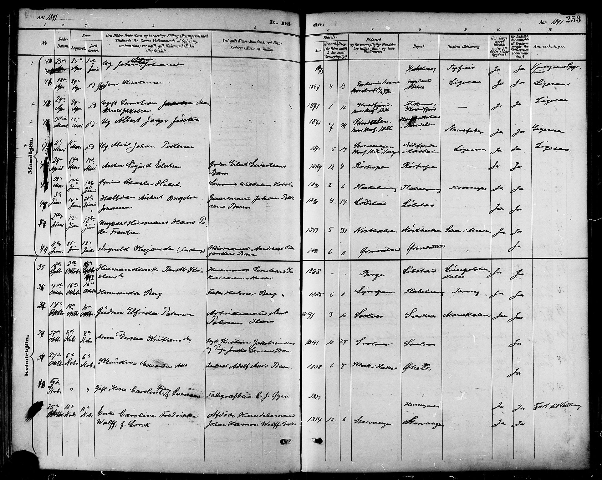 Ministerialprotokoller, klokkerbøker og fødselsregistre - Nordland, AV/SAT-A-1459/874/L1060: Parish register (official) no. 874A04, 1890-1899, p. 253