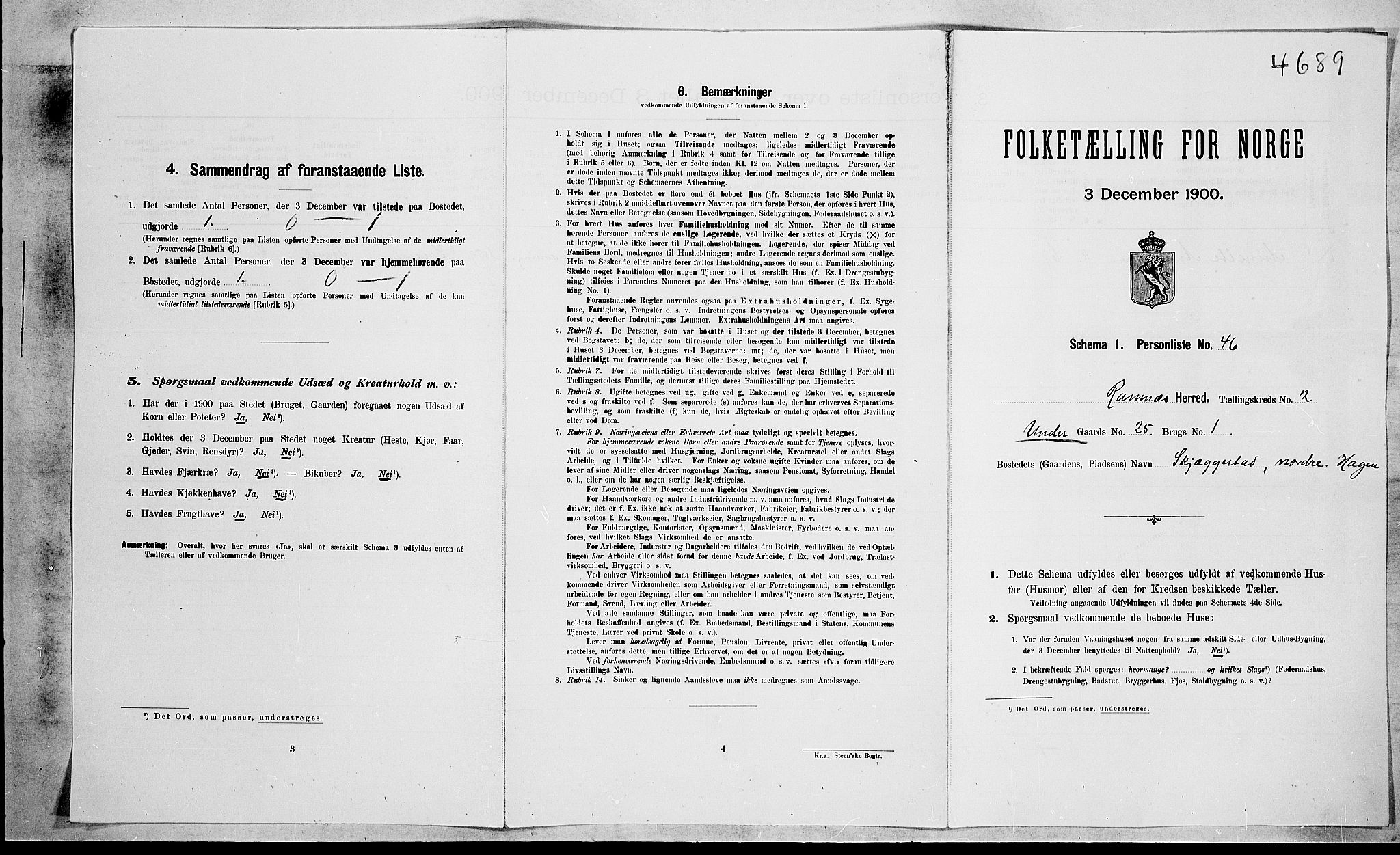 RA, 1900 census for Ramnes, 1900, p. 316