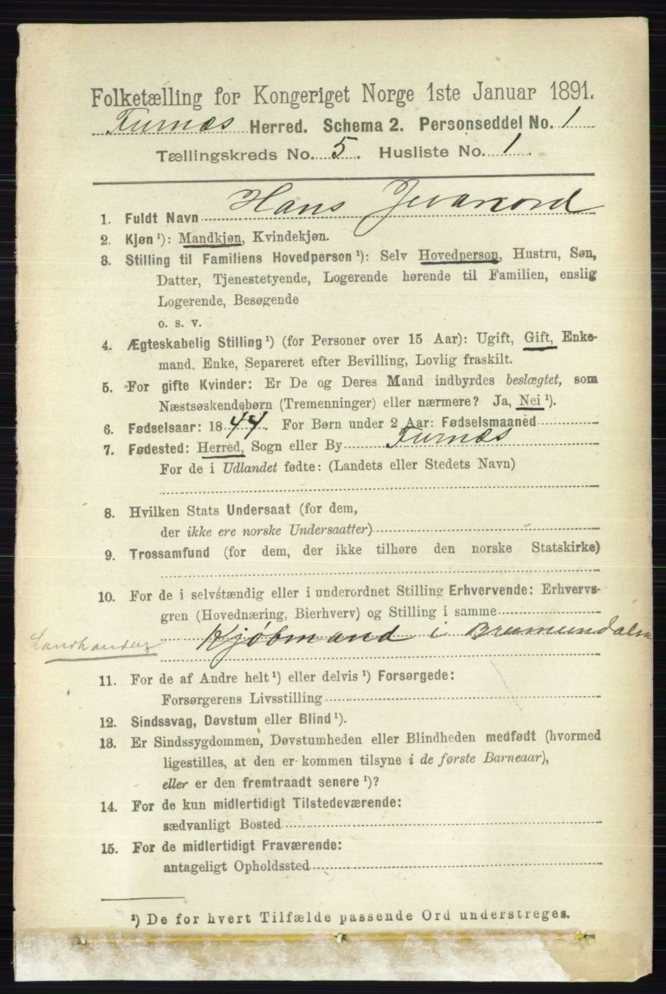 RA, Census 1891 for 0413 Furnes herred, 1891, p. 3156