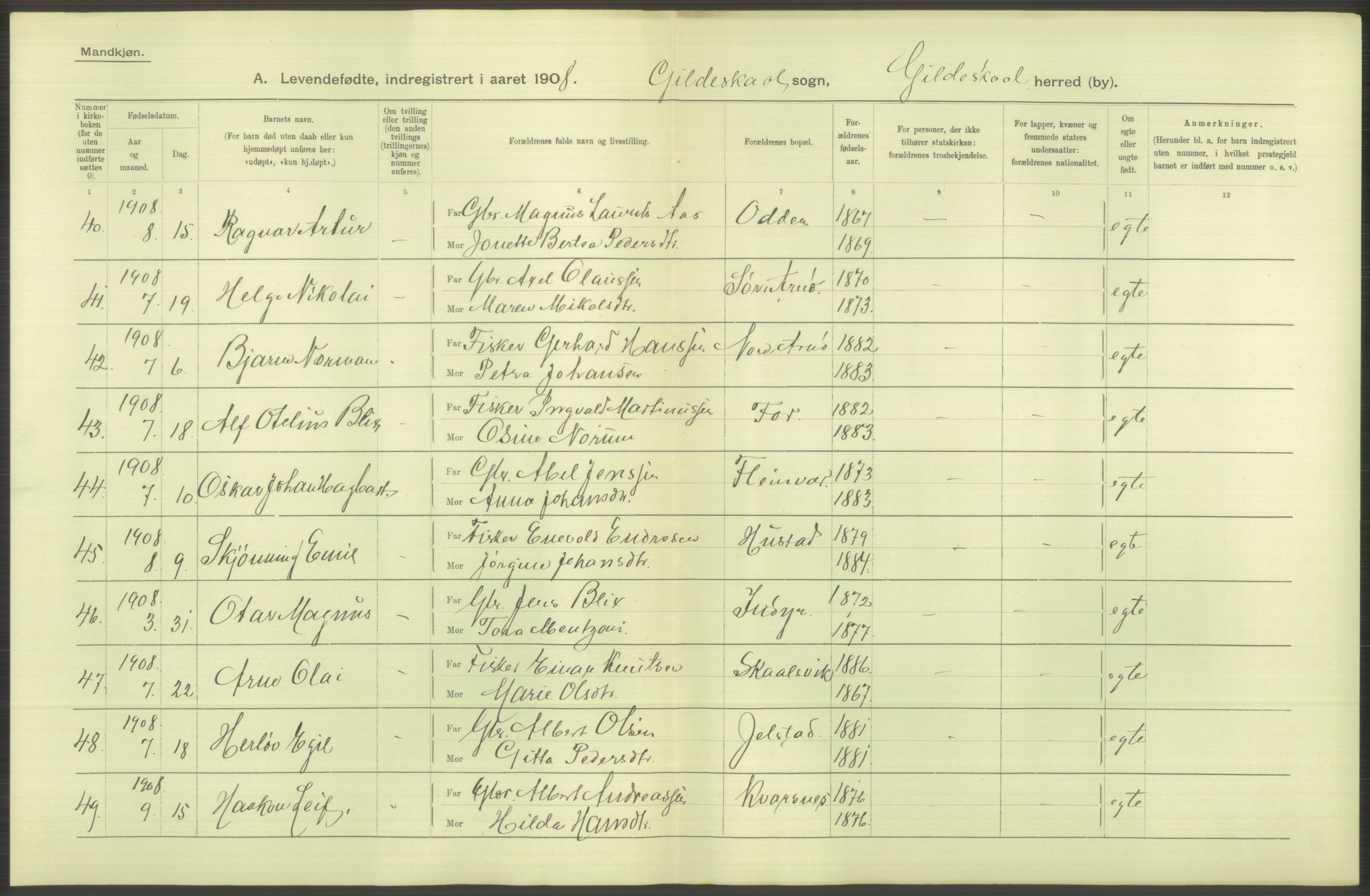 Statistisk sentralbyrå, Sosiodemografiske emner, Befolkning, AV/RA-S-2228/D/Df/Dfa/Dfaf/L0043: Nordlands amt: Levendefødte menn og kvinner. Bygder., 1908, p. 6