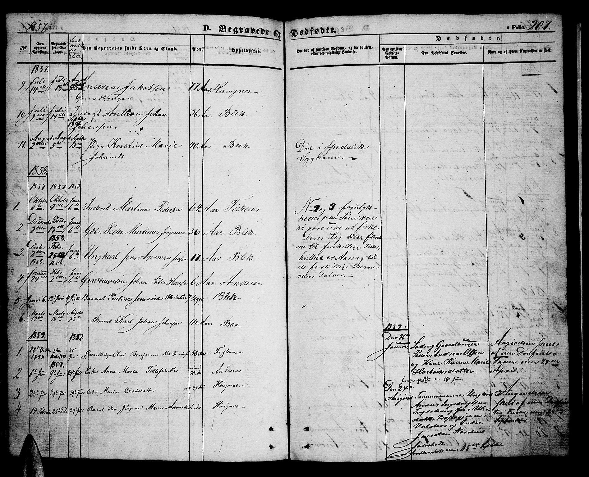 Ministerialprotokoller, klokkerbøker og fødselsregistre - Nordland, SAT/A-1459/899/L1447: Parish register (copy) no. 899C02, 1855-1886, p. 207