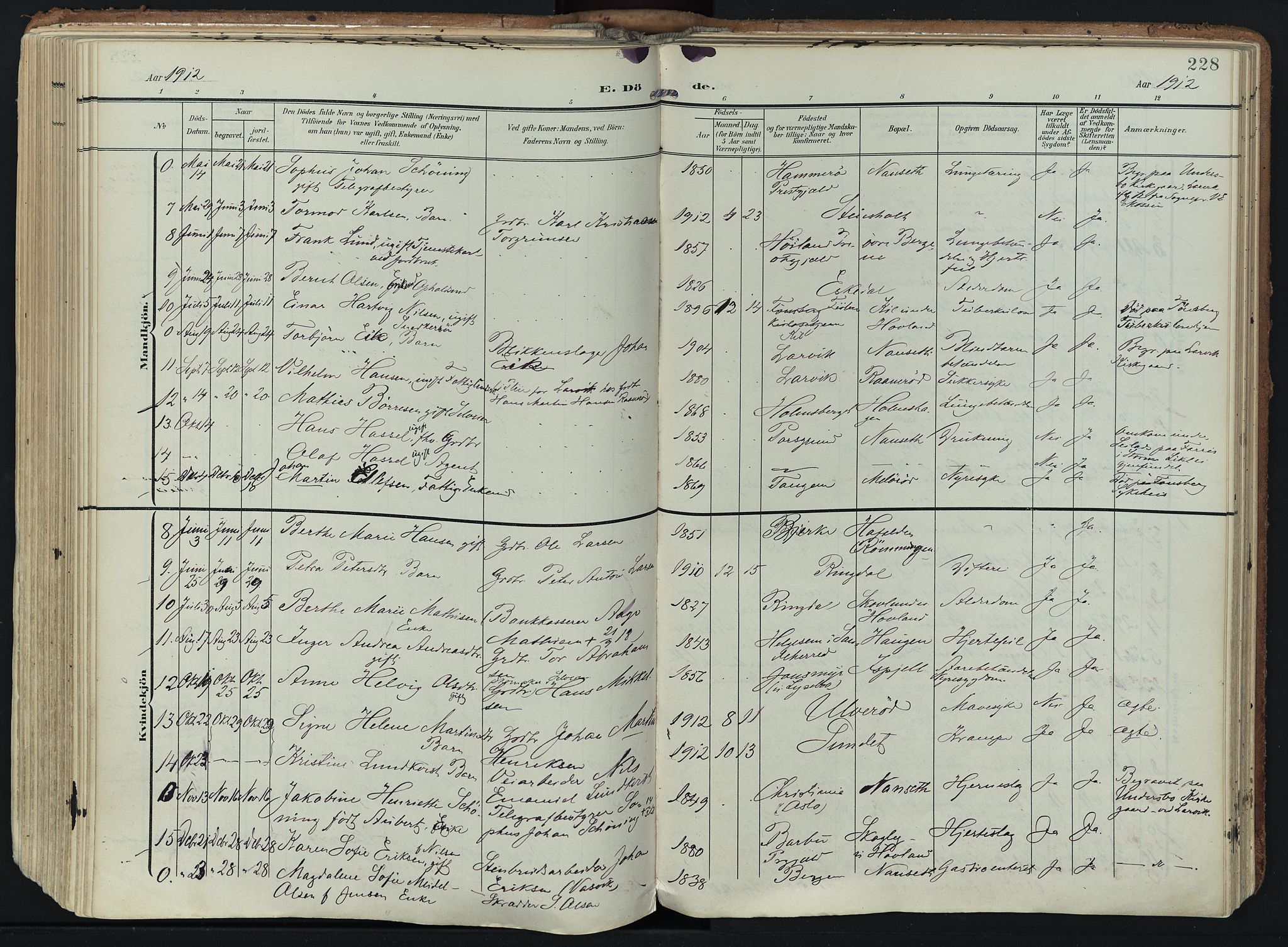 Hedrum kirkebøker, SAKO/A-344/F/Fa/L0010: Parish register (official) no. I 10, 1904-1918, p. 228