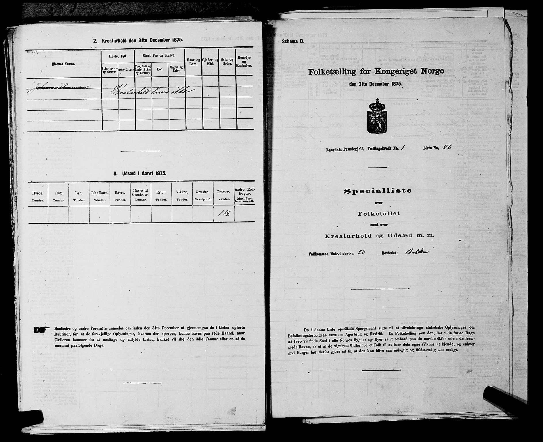 SAKO, 1875 census for 0833P Lårdal, 1875, p. 212