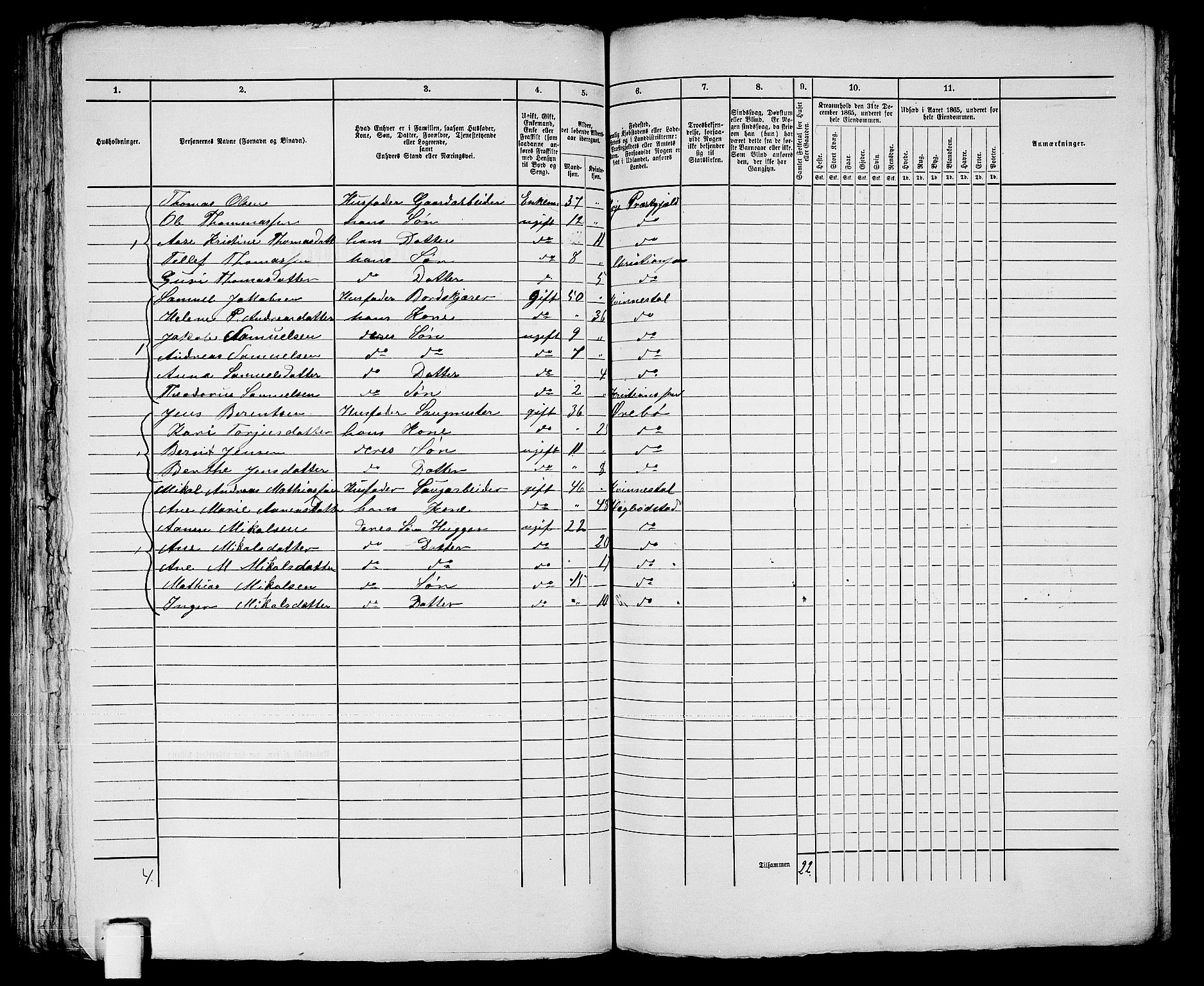 RA, 1865 census for Kristiansand, 1865, p. 1268