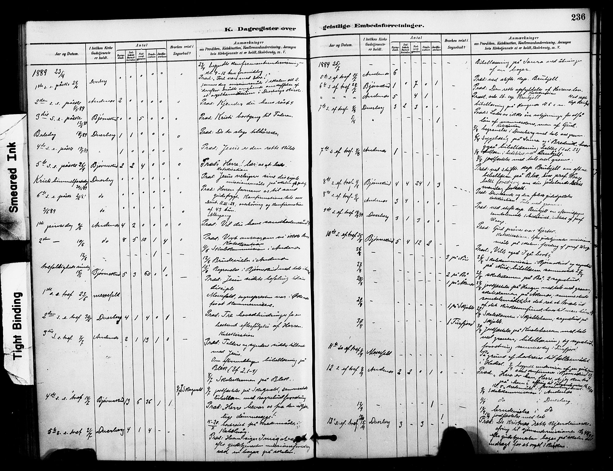 Ministerialprotokoller, klokkerbøker og fødselsregistre - Nordland, AV/SAT-A-1459/897/L1399: Parish register (official) no. 897C06, 1881-1896, p. 236