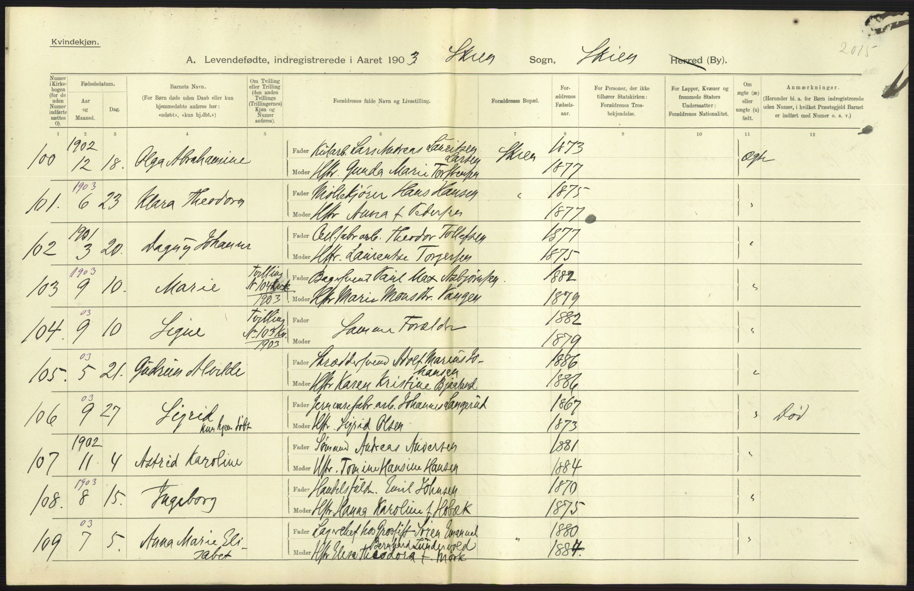 Statistisk sentralbyrå, Sosiodemografiske emner, Befolkning, AV/RA-S-2228/D/Df/Dfa/Dfaa/L0009: Bratsberg amt: Fødte, gifte, døde, 1903, p. 291