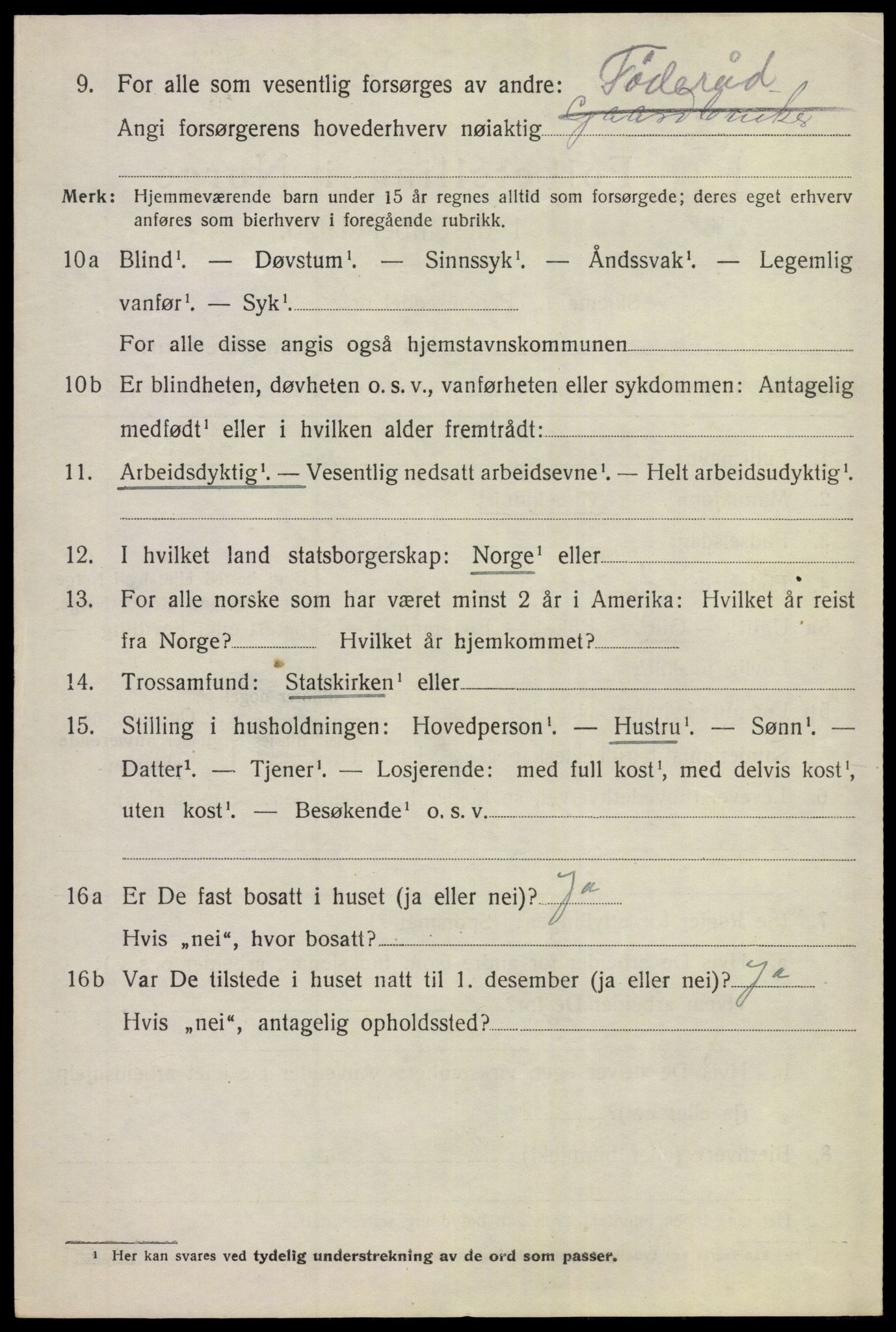 SAKO, 1920 census for Hemsedal, 1920, p. 2949