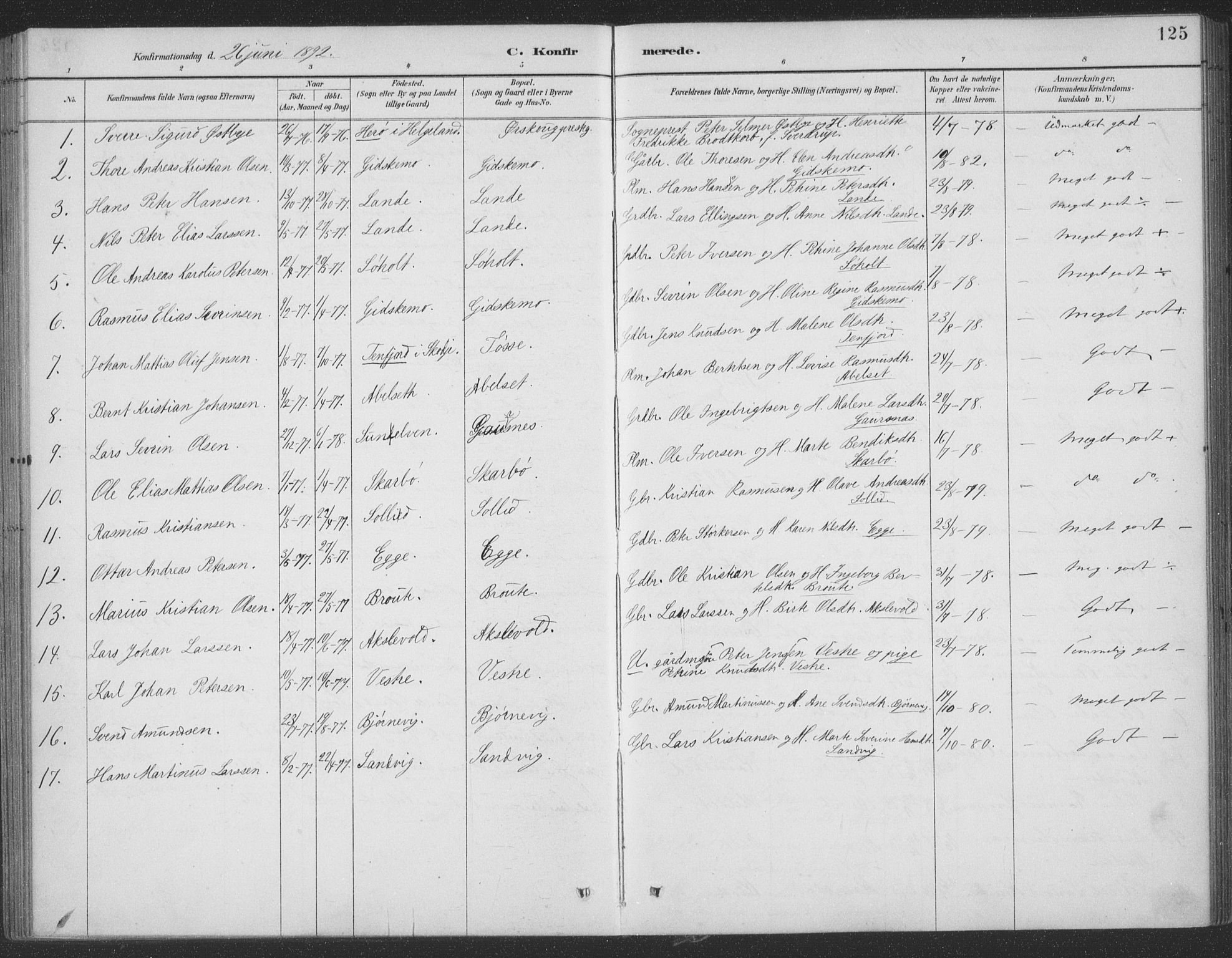 Ministerialprotokoller, klokkerbøker og fødselsregistre - Møre og Romsdal, SAT/A-1454/522/L0316: Parish register (official) no. 522A11, 1890-1911, p. 125