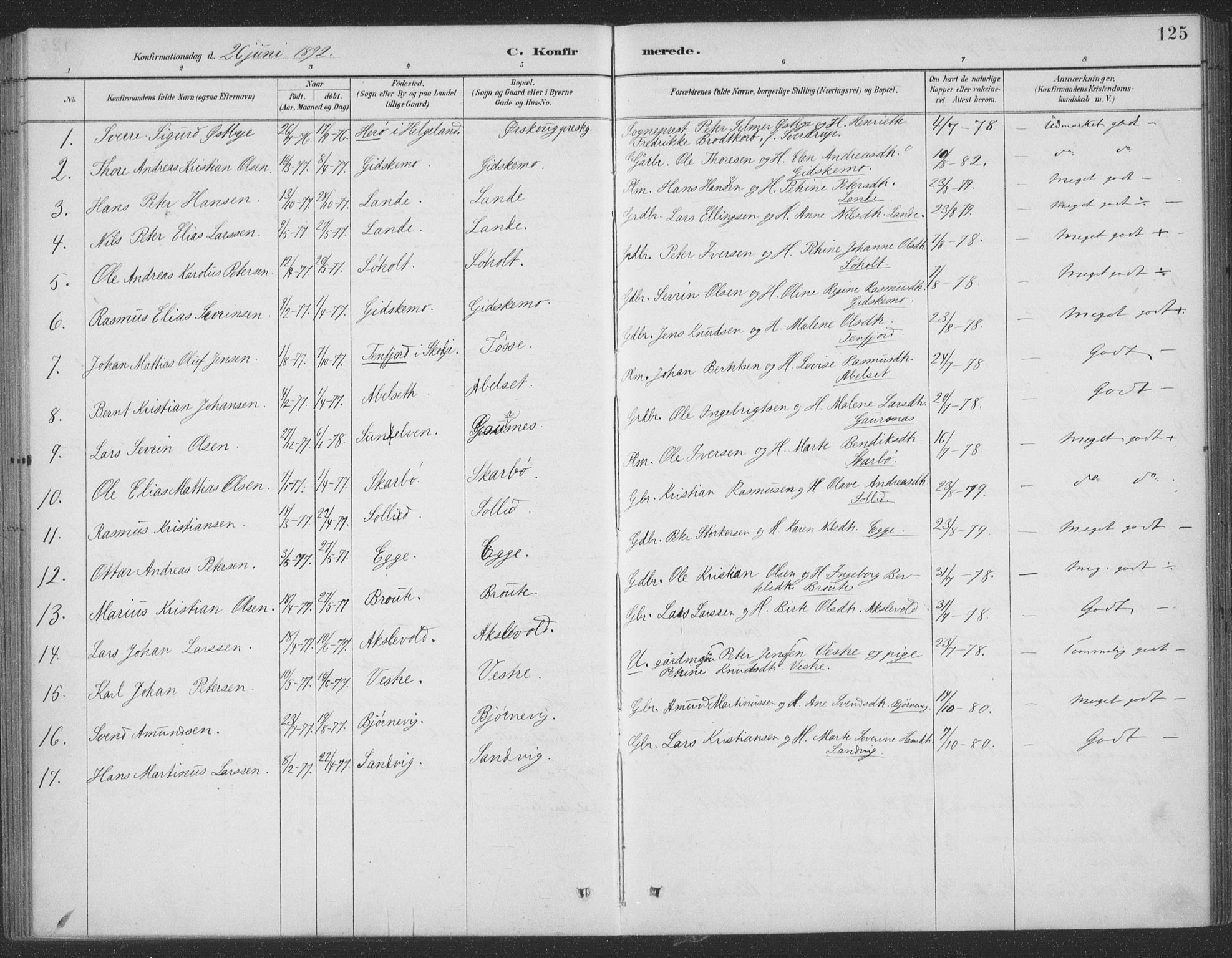 Ministerialprotokoller, klokkerbøker og fødselsregistre - Møre og Romsdal, AV/SAT-A-1454/522/L0316: Parish register (official) no. 522A11, 1890-1911, p. 125