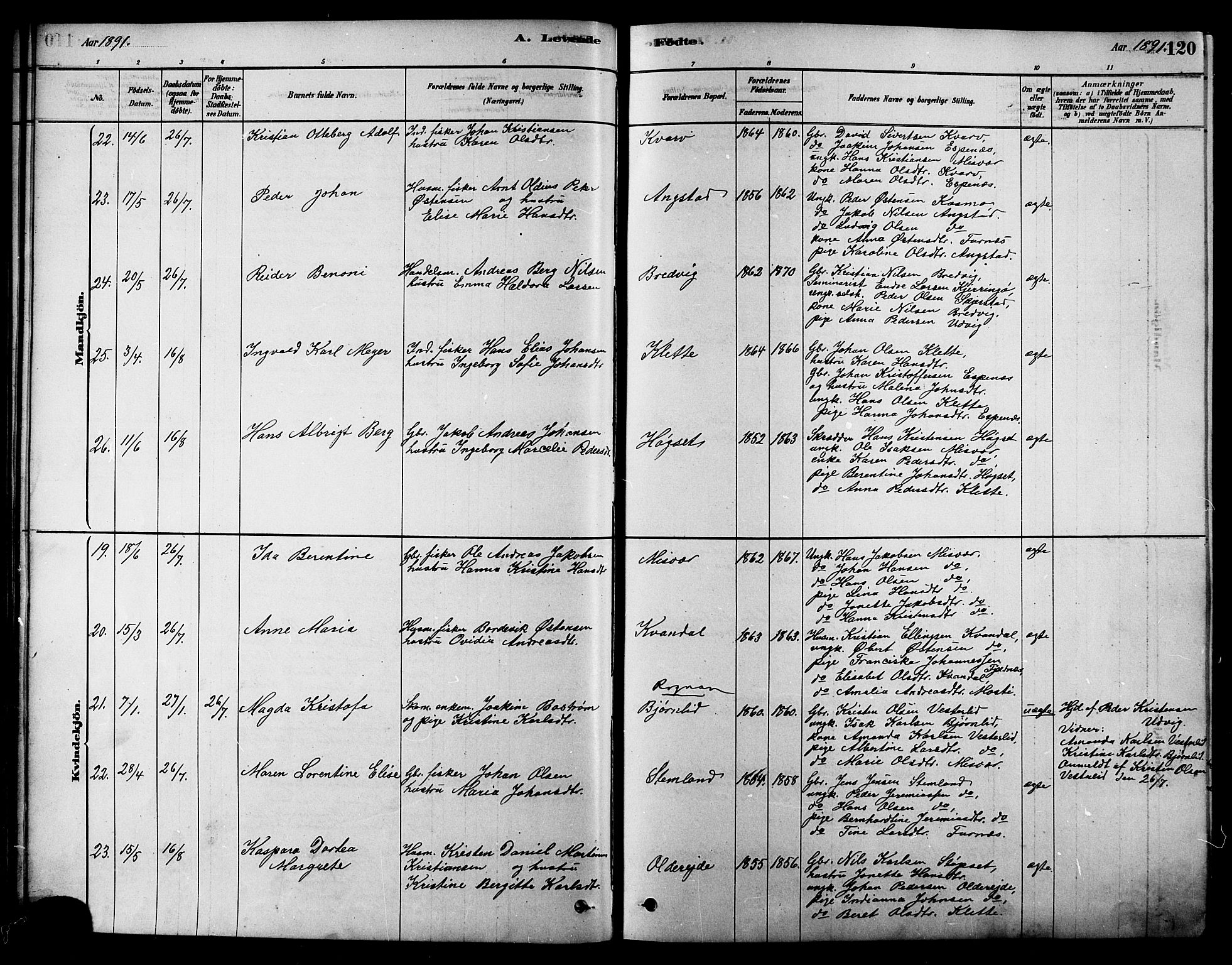 Ministerialprotokoller, klokkerbøker og fødselsregistre - Nordland, AV/SAT-A-1459/852/L0740: Parish register (official) no. 852A10, 1878-1894, p. 120