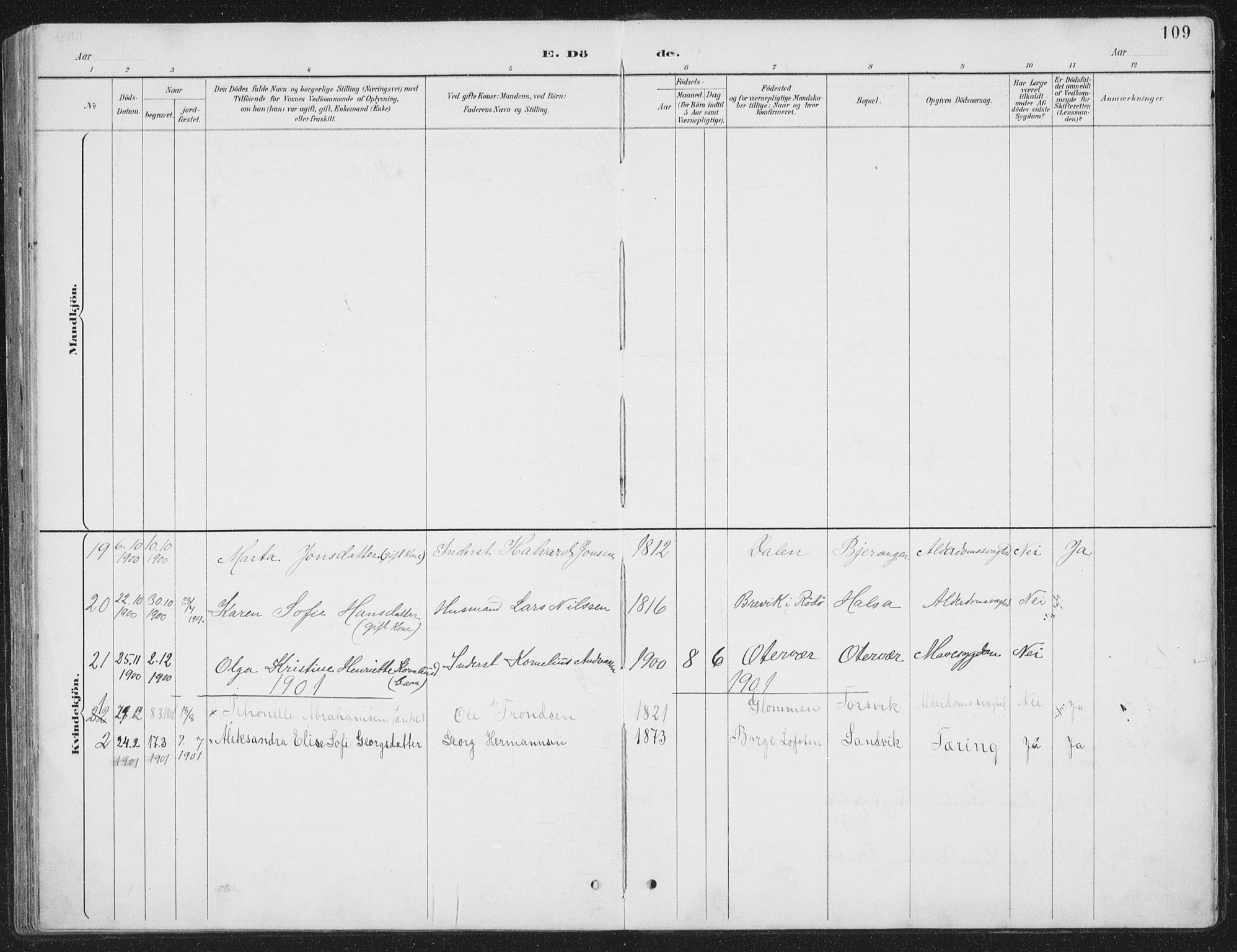 Ministerialprotokoller, klokkerbøker og fødselsregistre - Nordland, AV/SAT-A-1459/843/L0638: Parish register (copy) no. 843C07, 1888-1907, p. 109