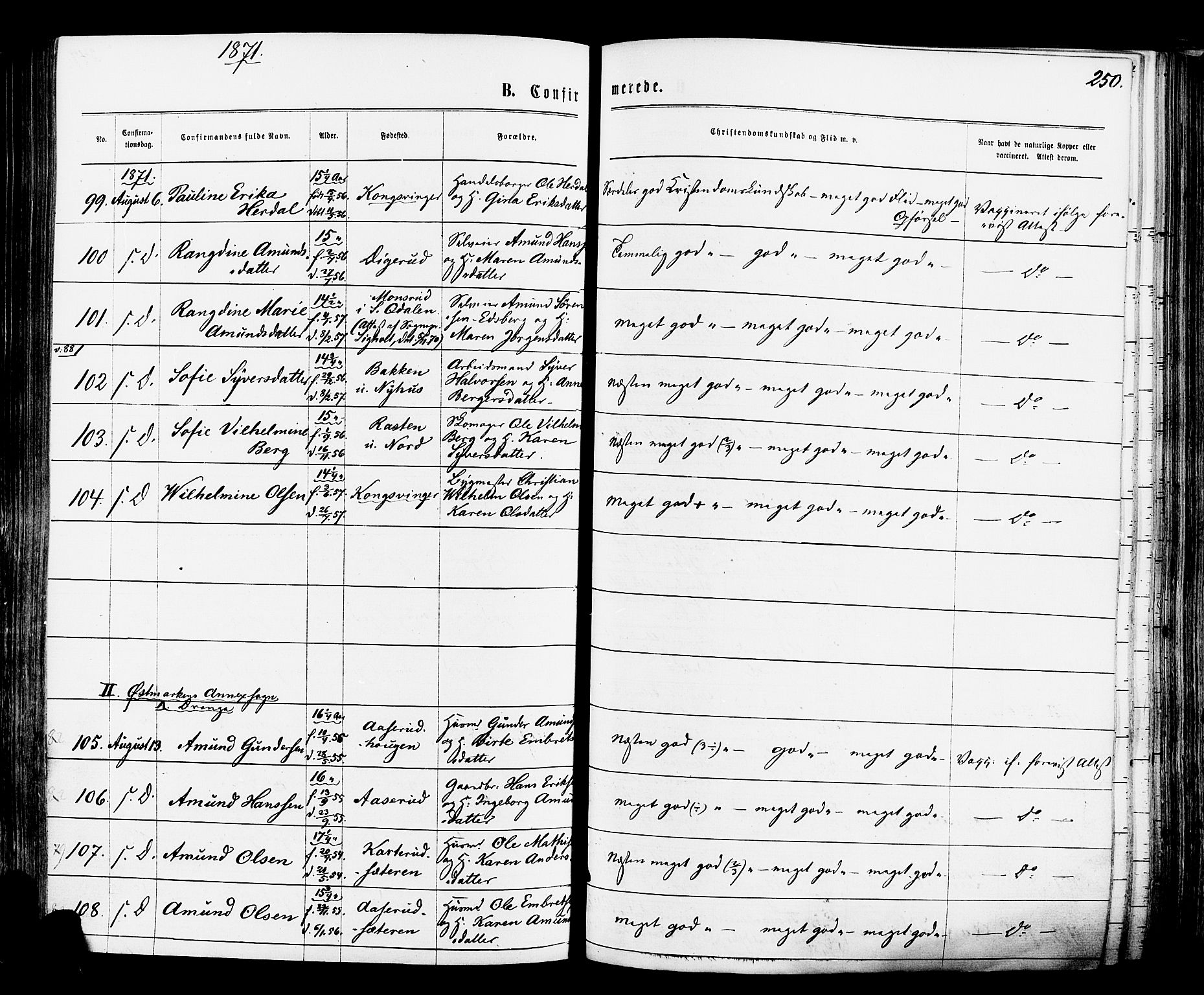 Vinger prestekontor, AV/SAH-PREST-024/H/Ha/Haa/L0012: Parish register (official) no. 12, 1871-1880, p. 250