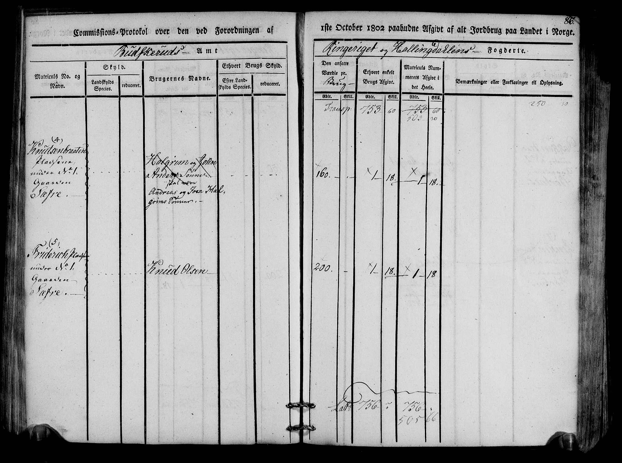 Rentekammeret inntil 1814, Realistisk ordnet avdeling, RA/EA-4070/N/Ne/Nea/L0047: Ringerike og Hallingdal fogderi. Kommisjonsprotokoll for Nes prestegjeld, 1803, p. 89