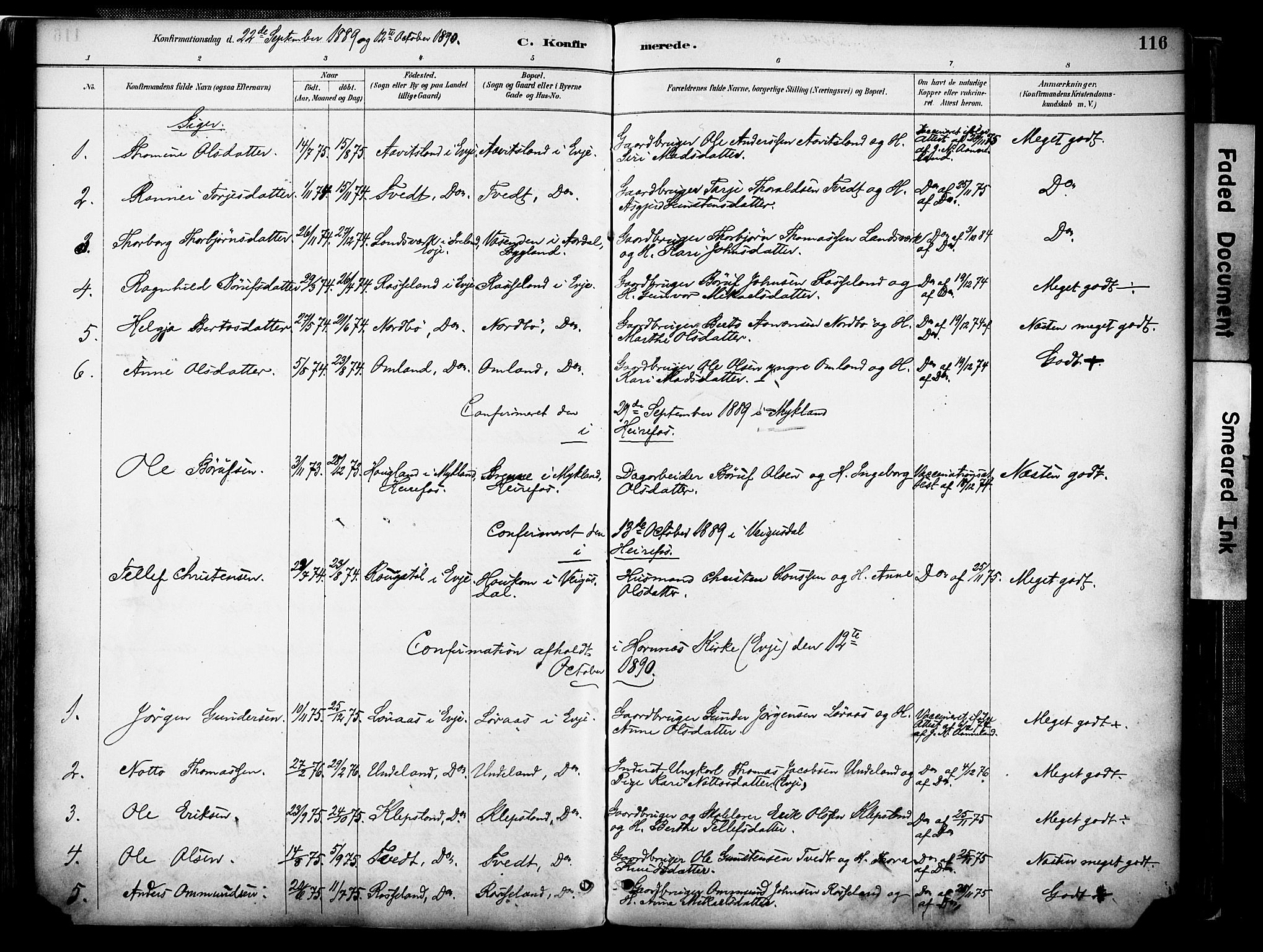 Evje sokneprestkontor, AV/SAK-1111-0008/F/Fa/Faa/L0007: Parish register (official) no. A 7, 1884-1909, p. 116