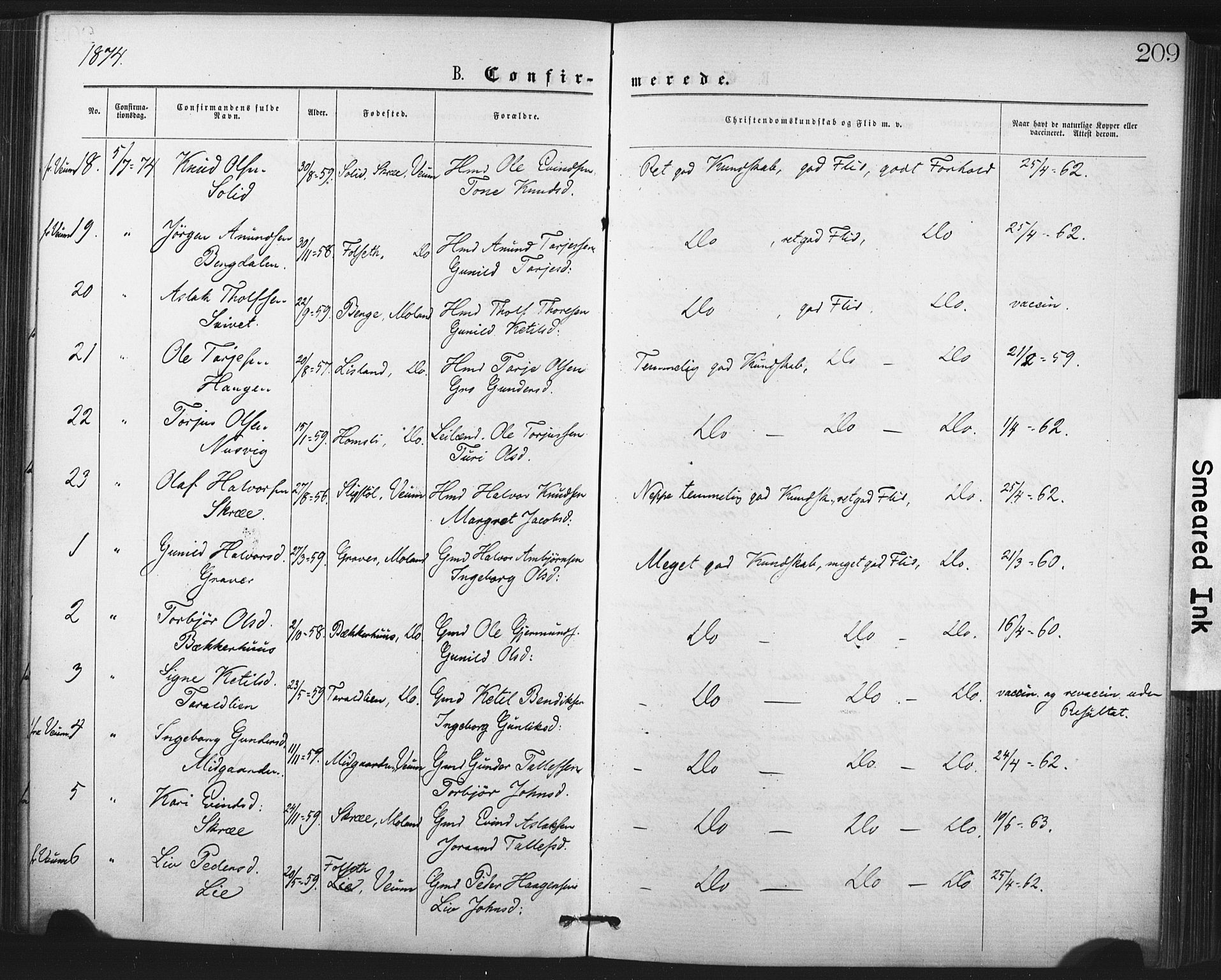 Fyresdal kirkebøker, SAKO/A-263/F/Fa/L0006: Parish register (official) no. I 6, 1872-1886, p. 209