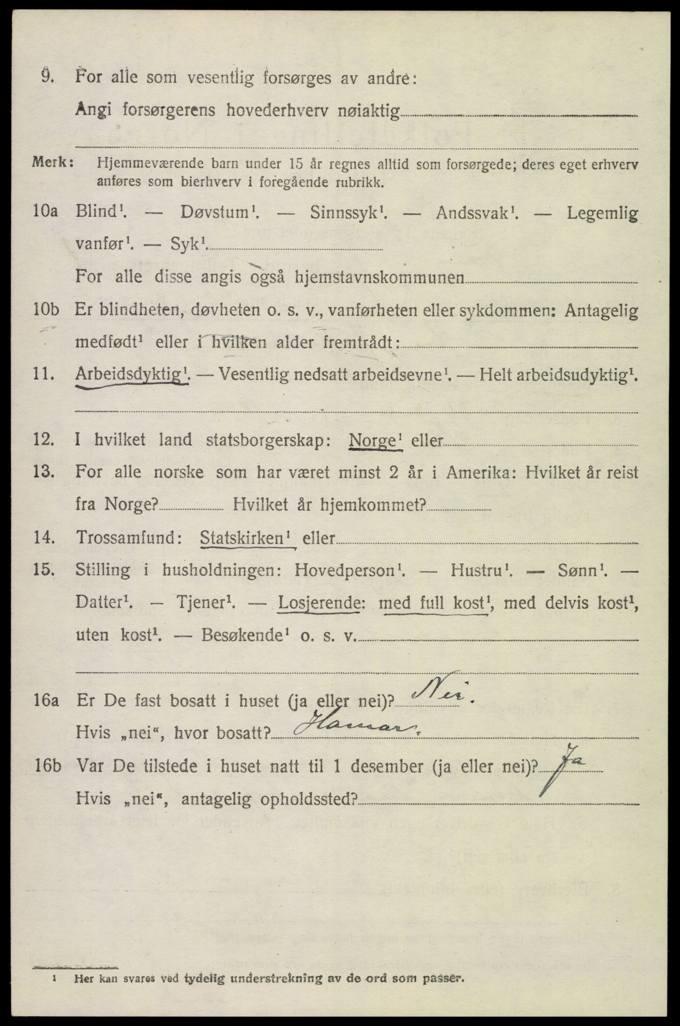 SAH, 1920 census for Vang (Hedmark), 1920, p. 16036