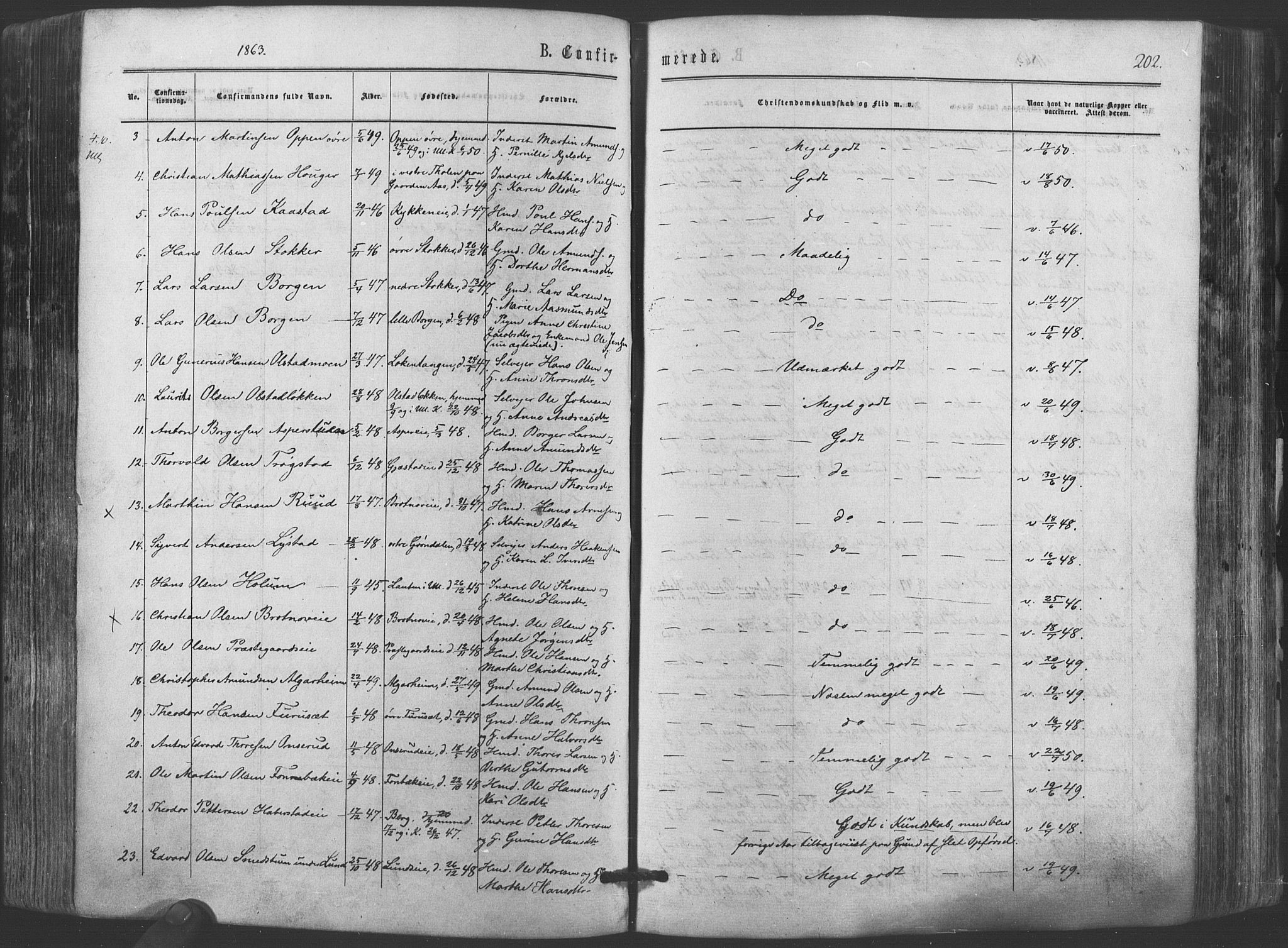 Ullensaker prestekontor Kirkebøker, AV/SAO-A-10236a/F/Fa/L0016: Parish register (official) no. I 16, 1863-1875, p. 202