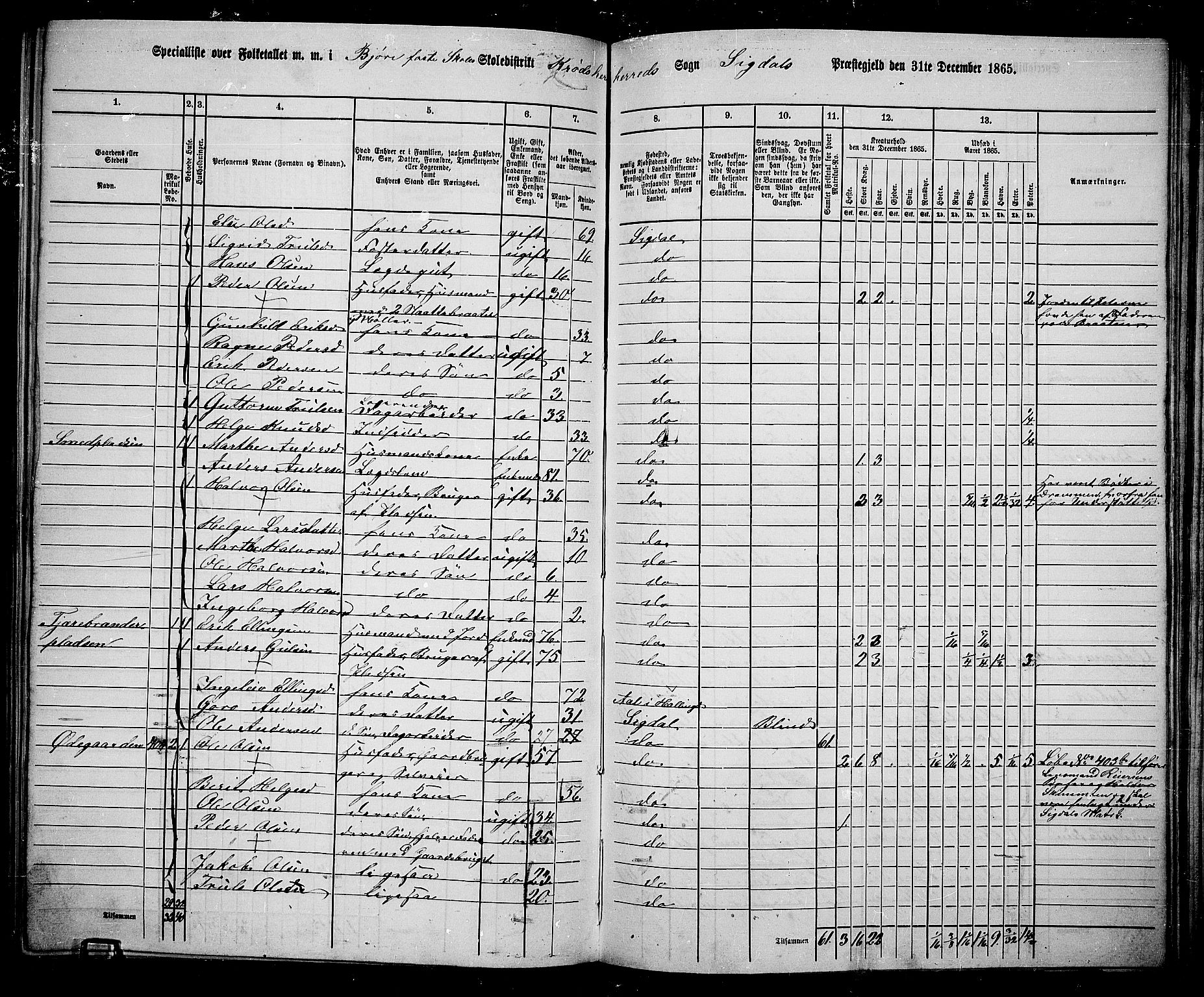 RA, 1865 census for Sigdal, 1865, p. 234