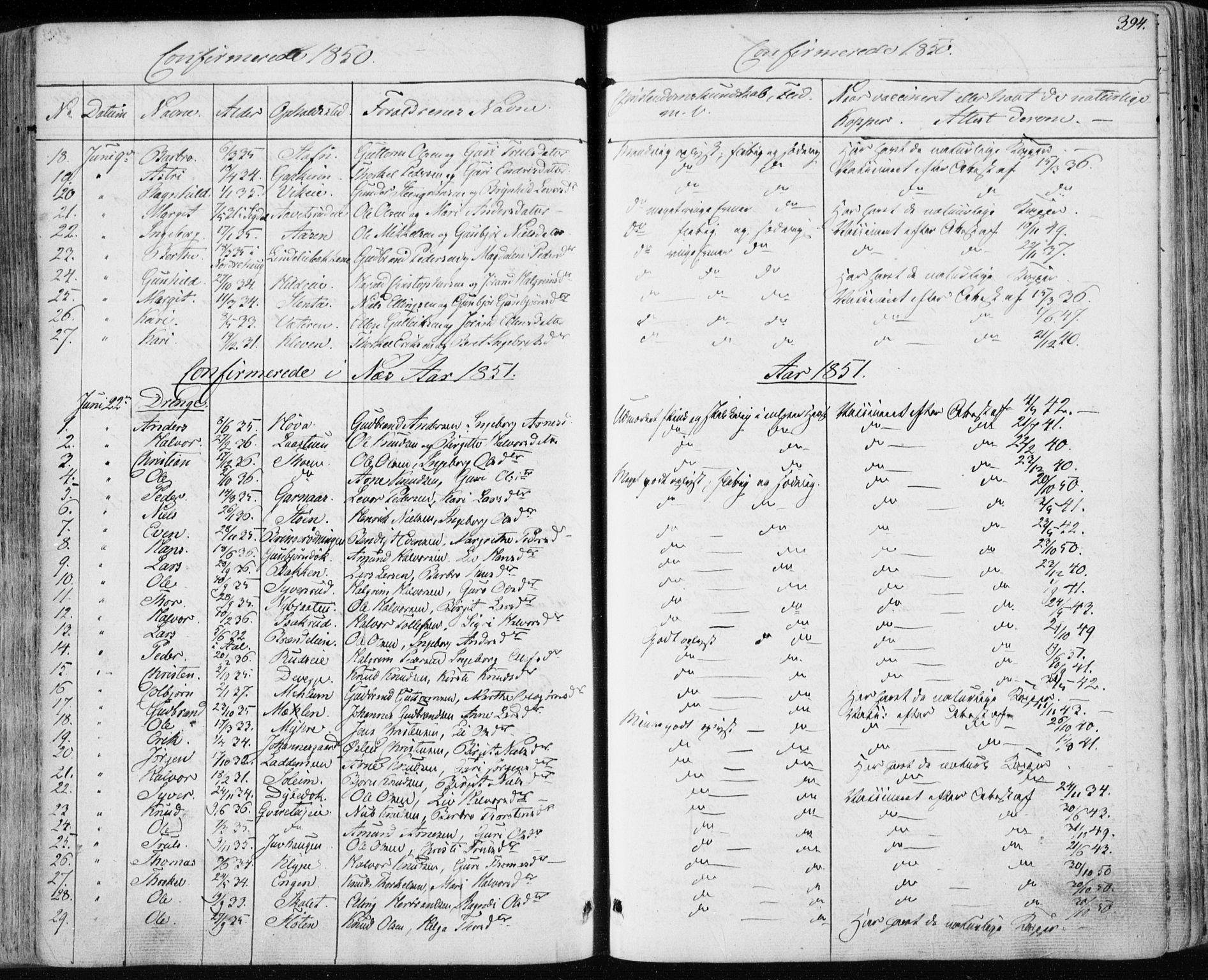 Nes kirkebøker, SAKO/A-236/F/Fa/L0009: Parish register (official) no. 9, 1834-1863, p. 394