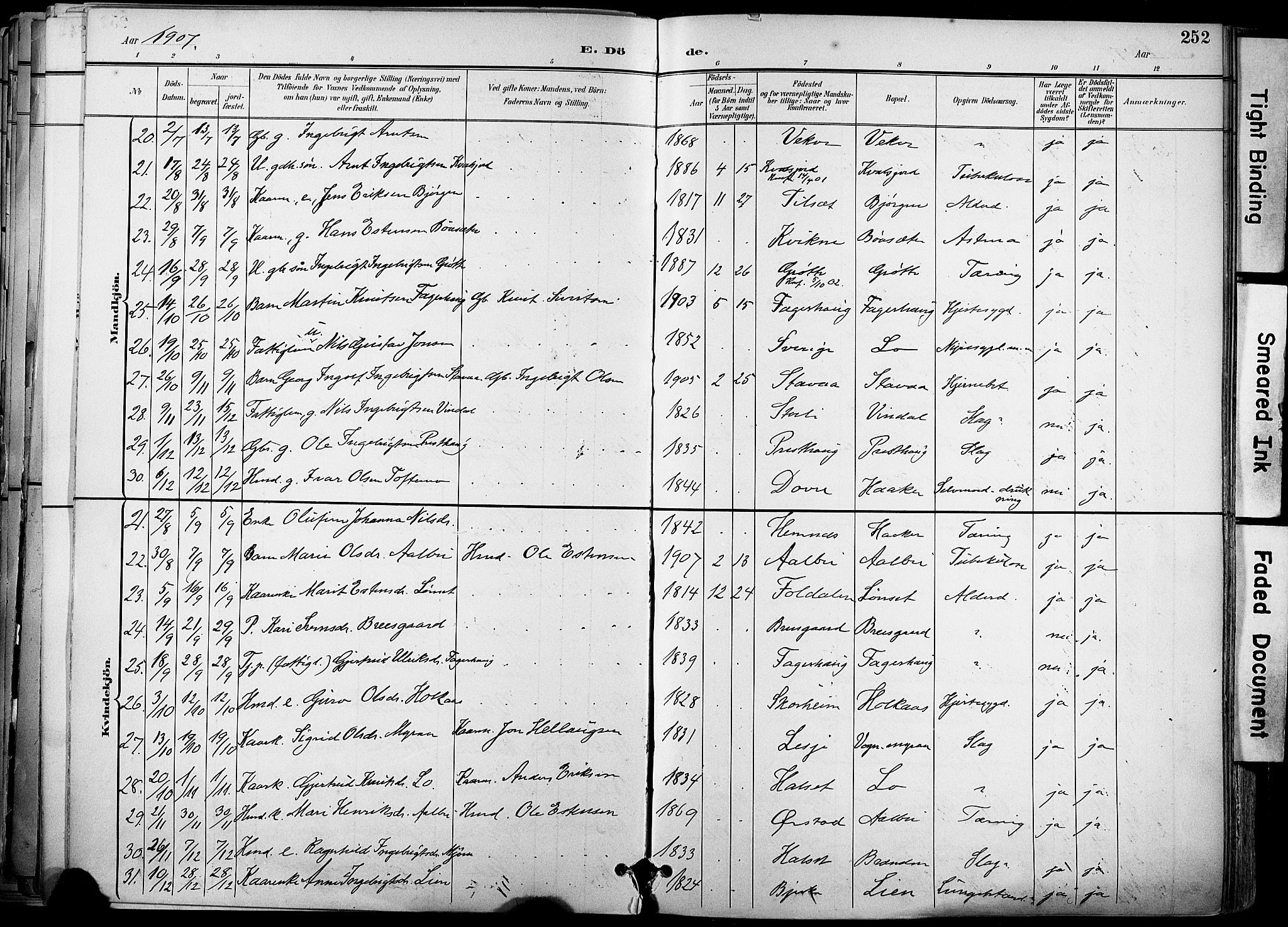 Ministerialprotokoller, klokkerbøker og fødselsregistre - Sør-Trøndelag, AV/SAT-A-1456/678/L0902: Parish register (official) no. 678A11, 1895-1911, p. 252