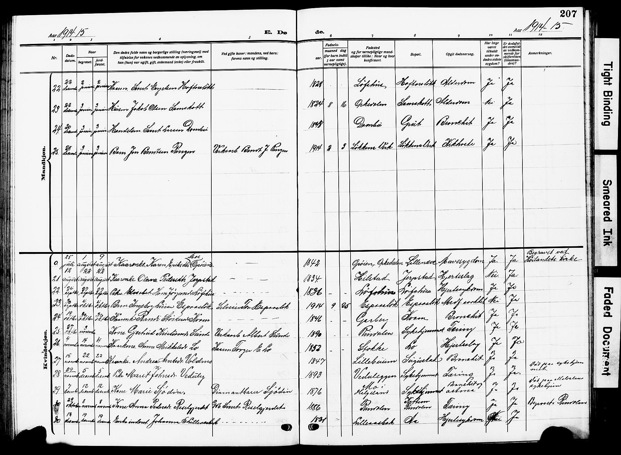 Ministerialprotokoller, klokkerbøker og fødselsregistre - Sør-Trøndelag, SAT/A-1456/672/L0865: Parish register (copy) no. 672C04, 1914-1928, p. 207
