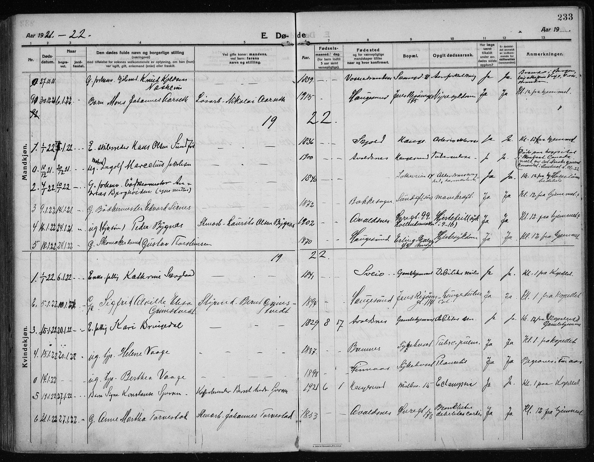 Haugesund sokneprestkontor, SAST/A -101863/H/Ha/Haa/L0009: Parish register (official) no. A 9, 1914-1929, p. 233