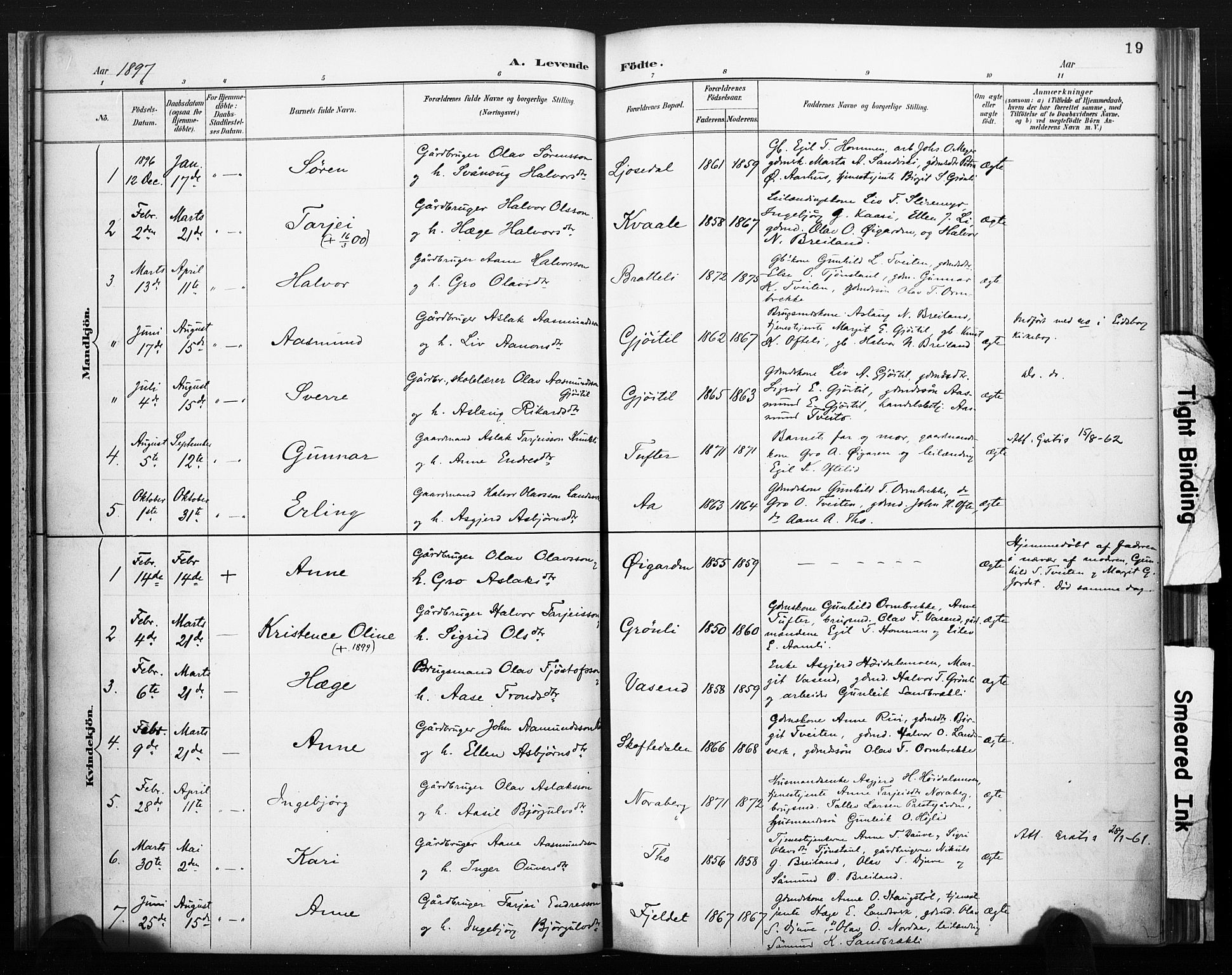 Lårdal kirkebøker, SAKO/A-284/F/Fc/L0002: Parish register (official) no. III 2, 1887-1906, p. 19