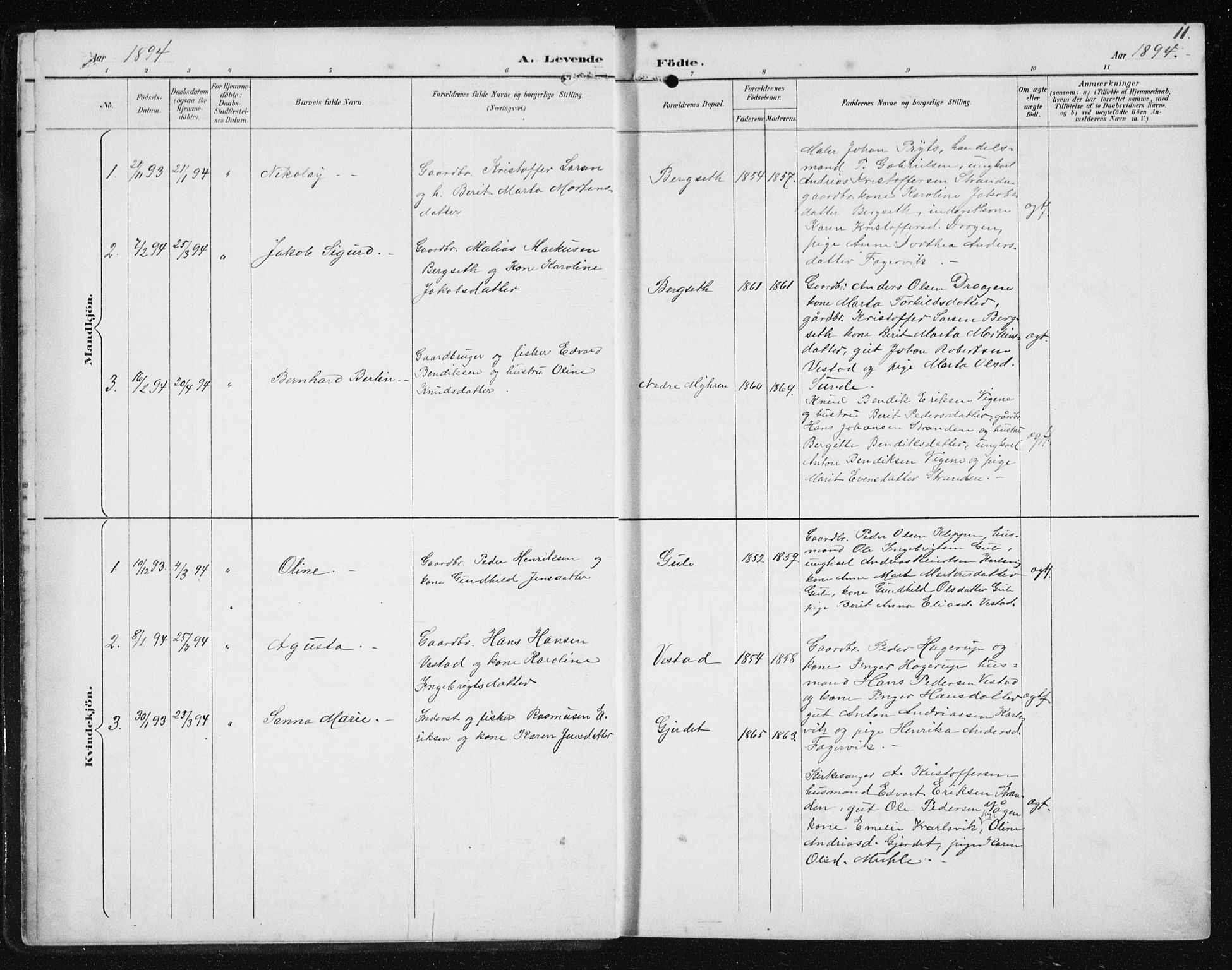 Ministerialprotokoller, klokkerbøker og fødselsregistre - Møre og Romsdal, AV/SAT-A-1454/566/L0773: Parish register (copy) no. 566C02, 1892-1909, p. 11