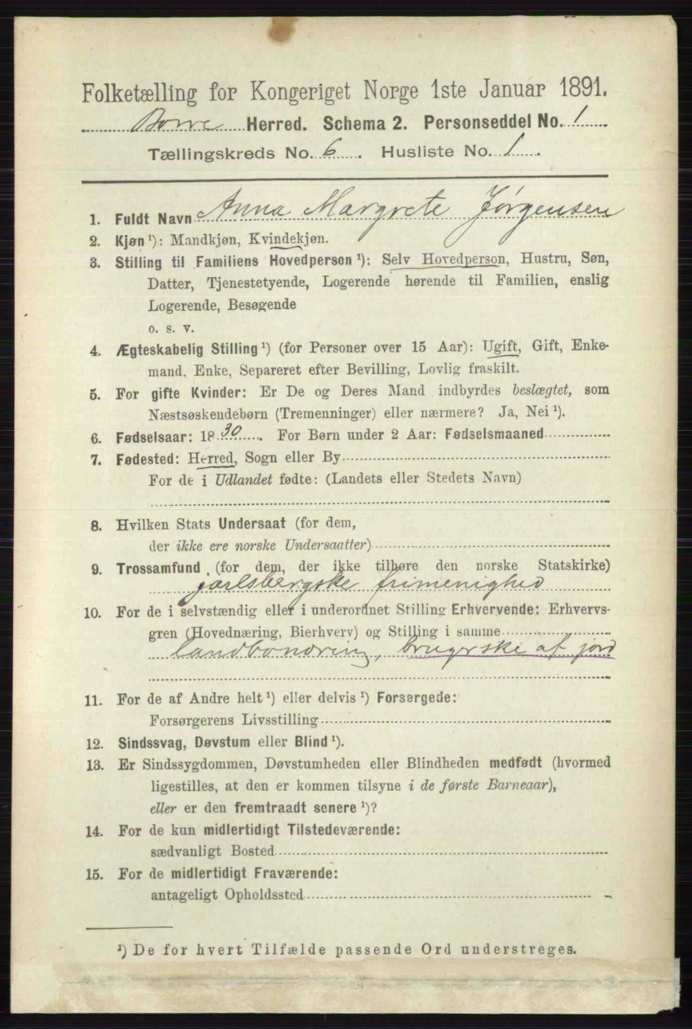 RA, 1891 census for 0717 Borre, 1891, p. 2641