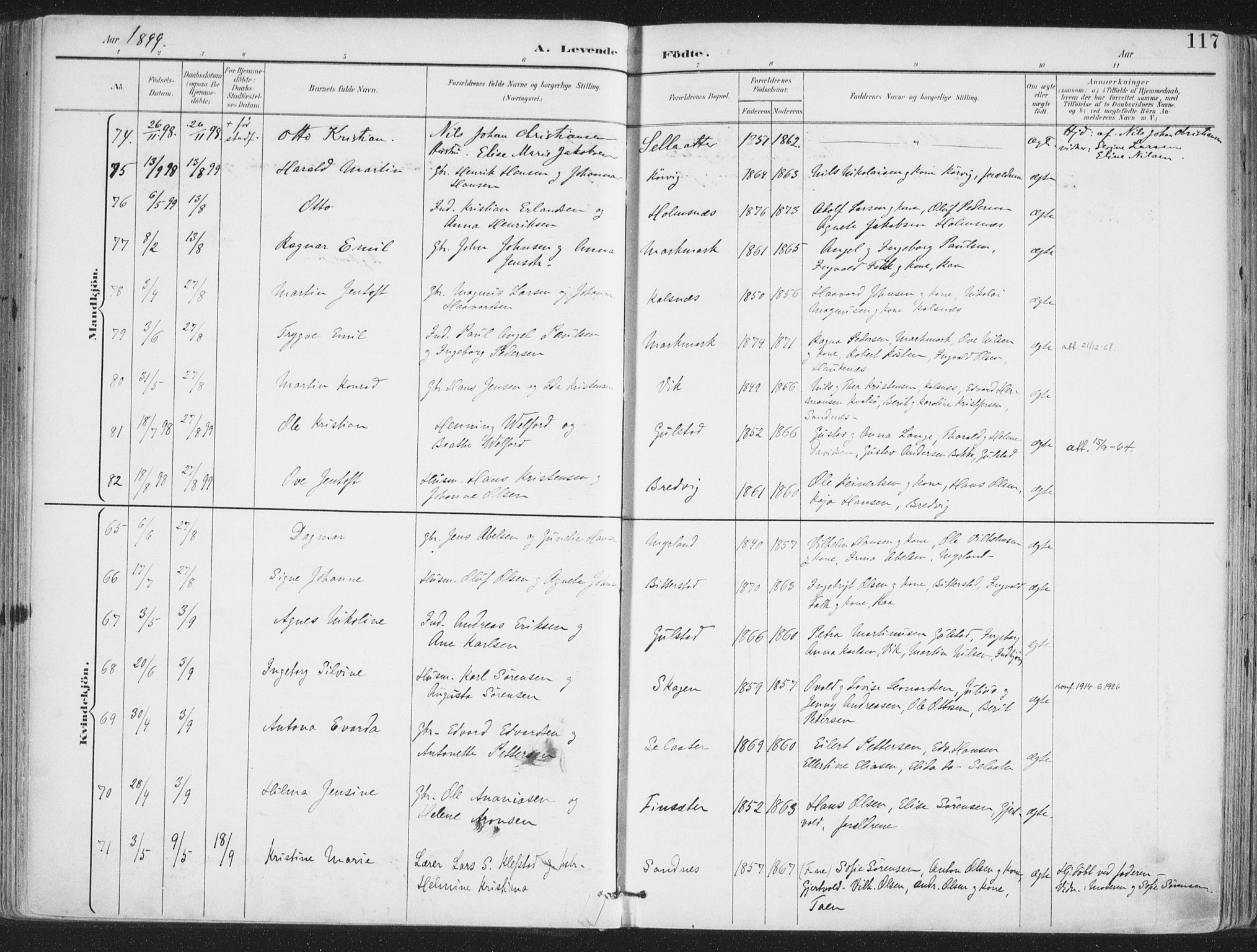 Ministerialprotokoller, klokkerbøker og fødselsregistre - Nordland, AV/SAT-A-1459/888/L1246: Parish register (official) no. 888A12, 1891-1903, p. 117