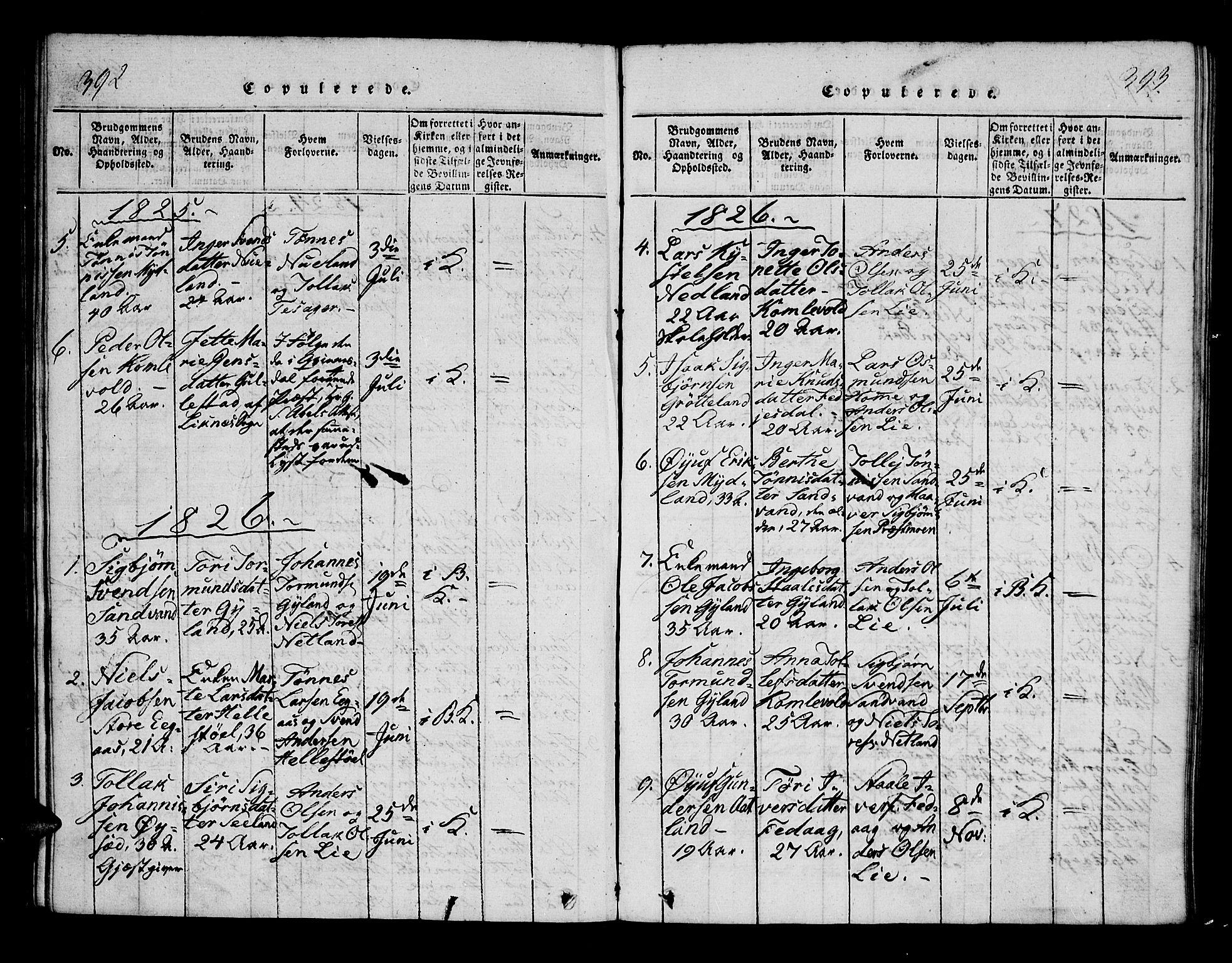 Bakke sokneprestkontor, SAK/1111-0002/F/Fa/Fab/L0001: Parish register (official) no. A 1, 1815-1835, p. 392-393