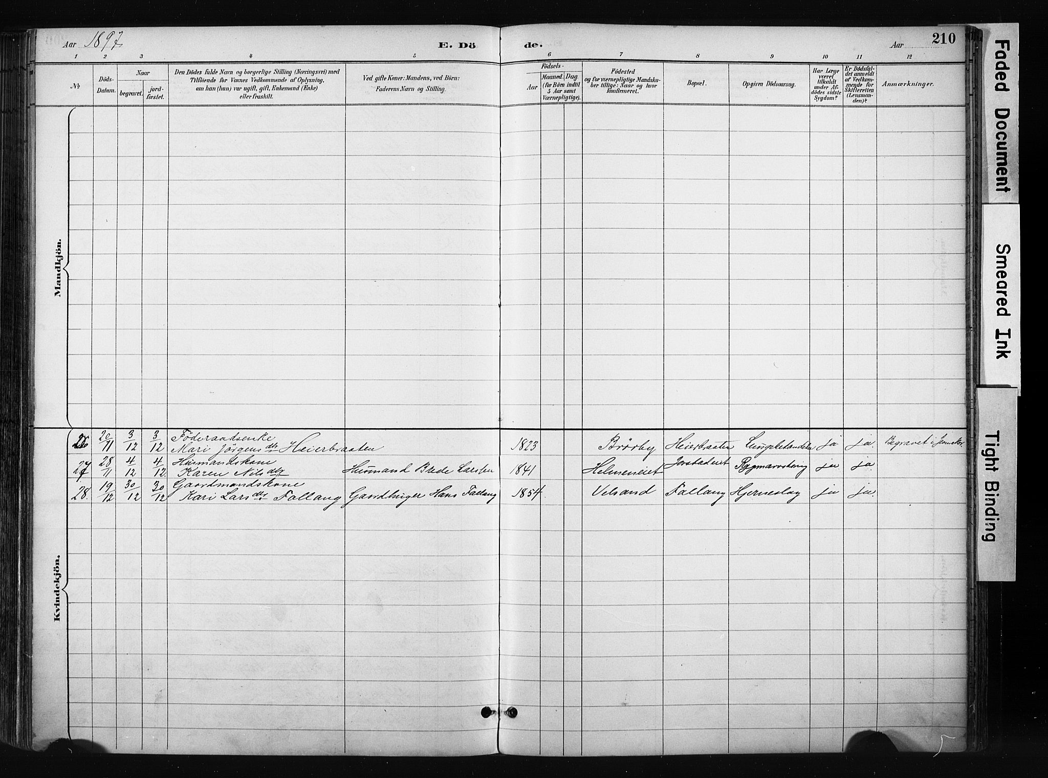 Gran prestekontor, SAH/PREST-112/H/Ha/Haa/L0017: Parish register (official) no. 17, 1889-1897, p. 210