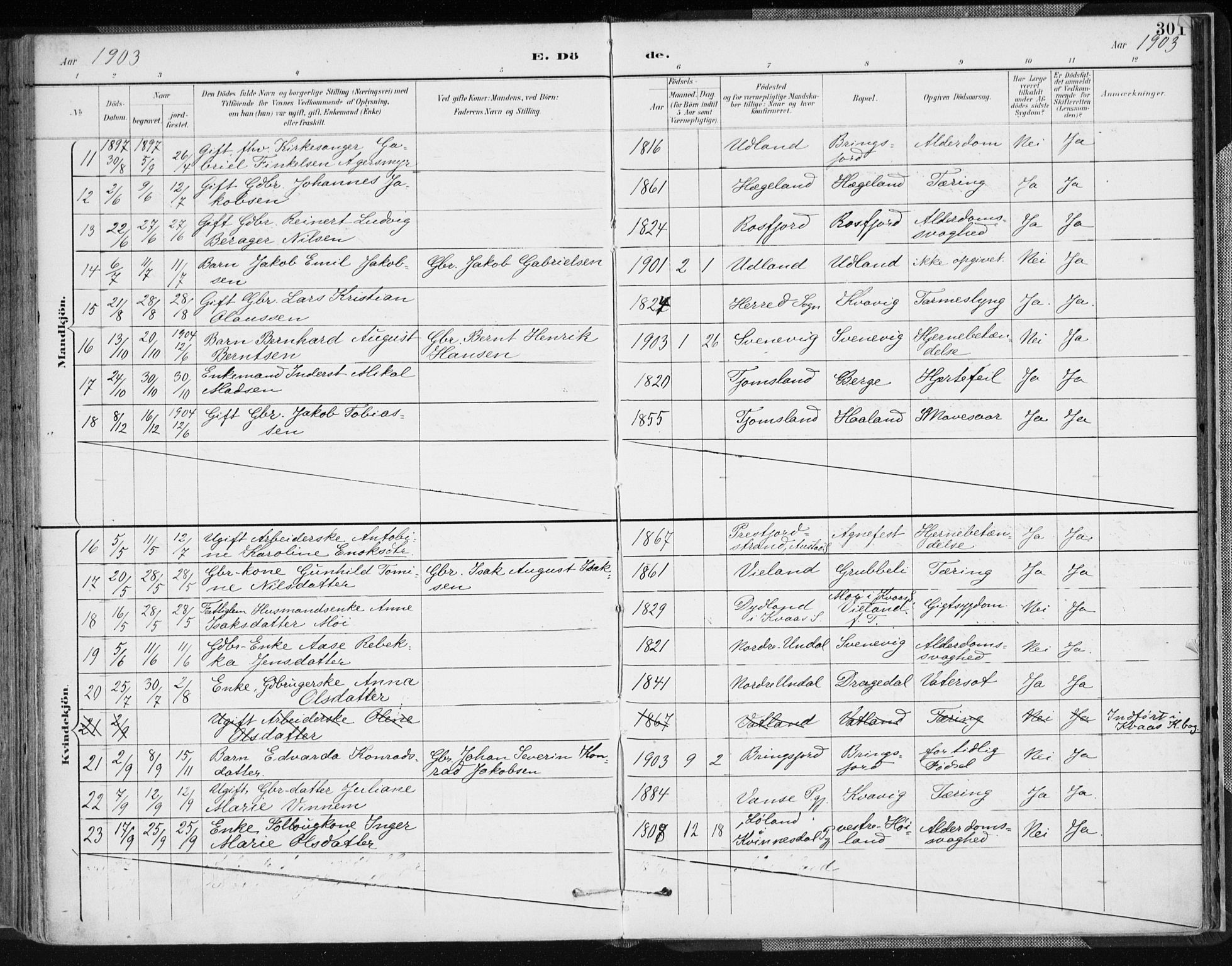 Lyngdal sokneprestkontor, SAK/1111-0029/F/Fa/Fac/L0012: Parish register (official) no. A 12, 1894-1918, p. 301