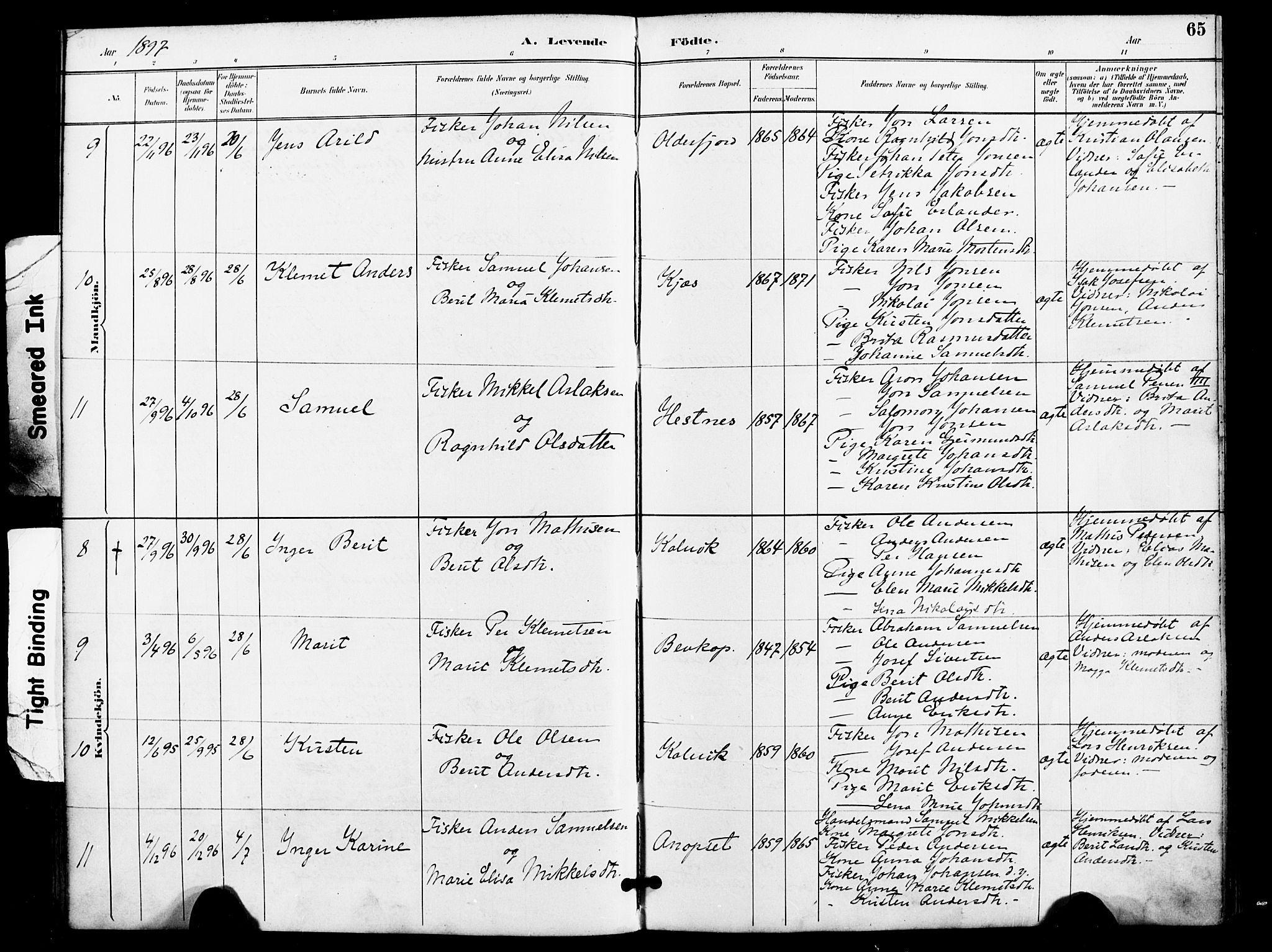 Kistrand/Porsanger sokneprestembete, AV/SATØ-S-1351/H/Ha/L0008.kirke: Parish register (official) no. 8, 1890-1898, p. 65