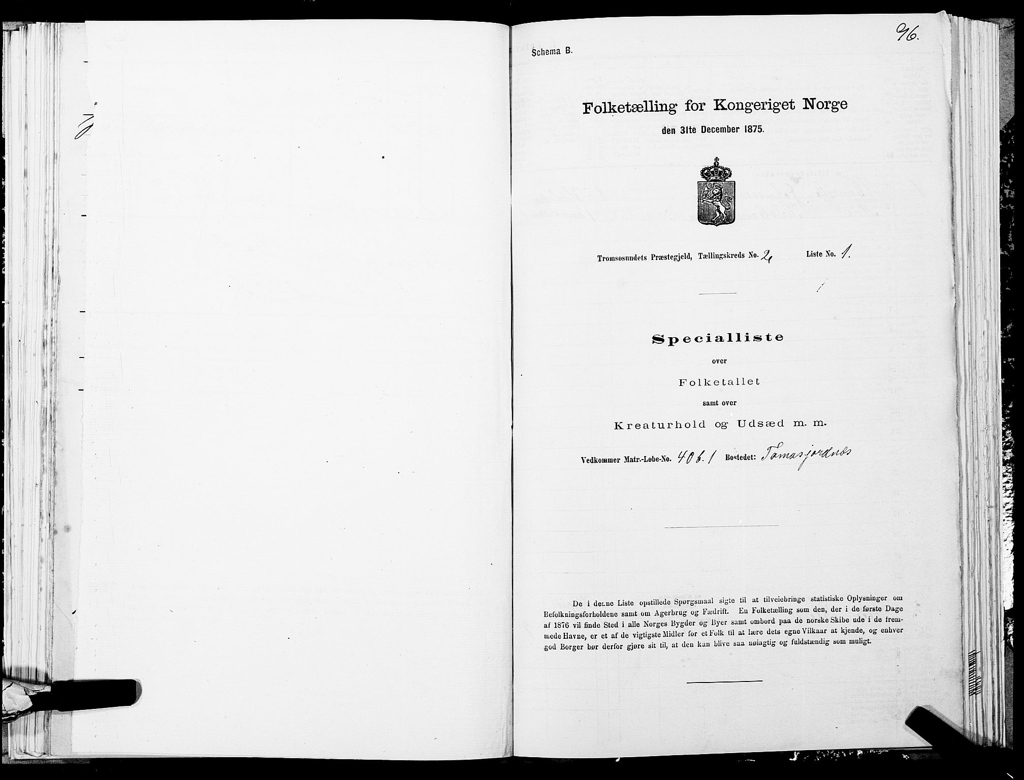 SATØ, 1875 census for 1934P Tromsøysund, 1875, p. 1096