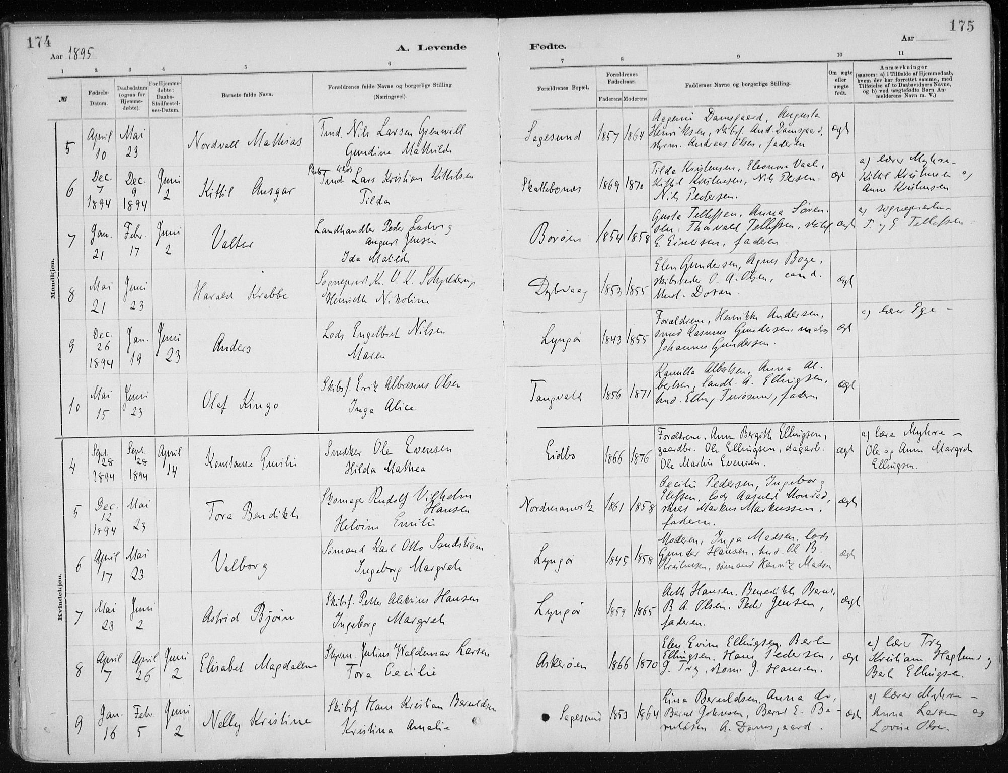 Dypvåg sokneprestkontor, SAK/1111-0007/F/Fa/Faa/L0008: Parish register (official) no. A 8, 1885-1906, p. 174-175