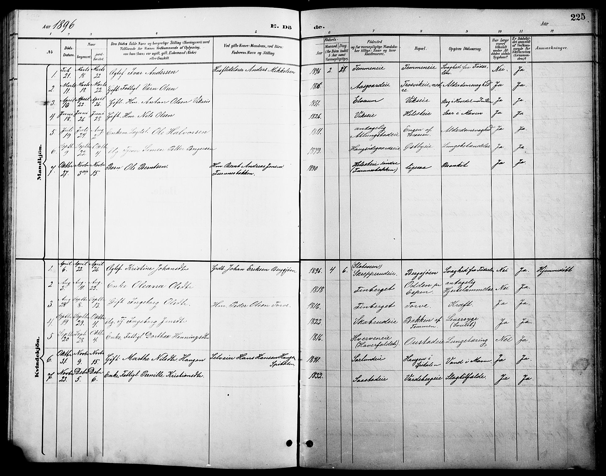 Stange prestekontor, SAH/PREST-002/L/L0011: Parish register (copy) no. 11, 1895-1917, p. 225