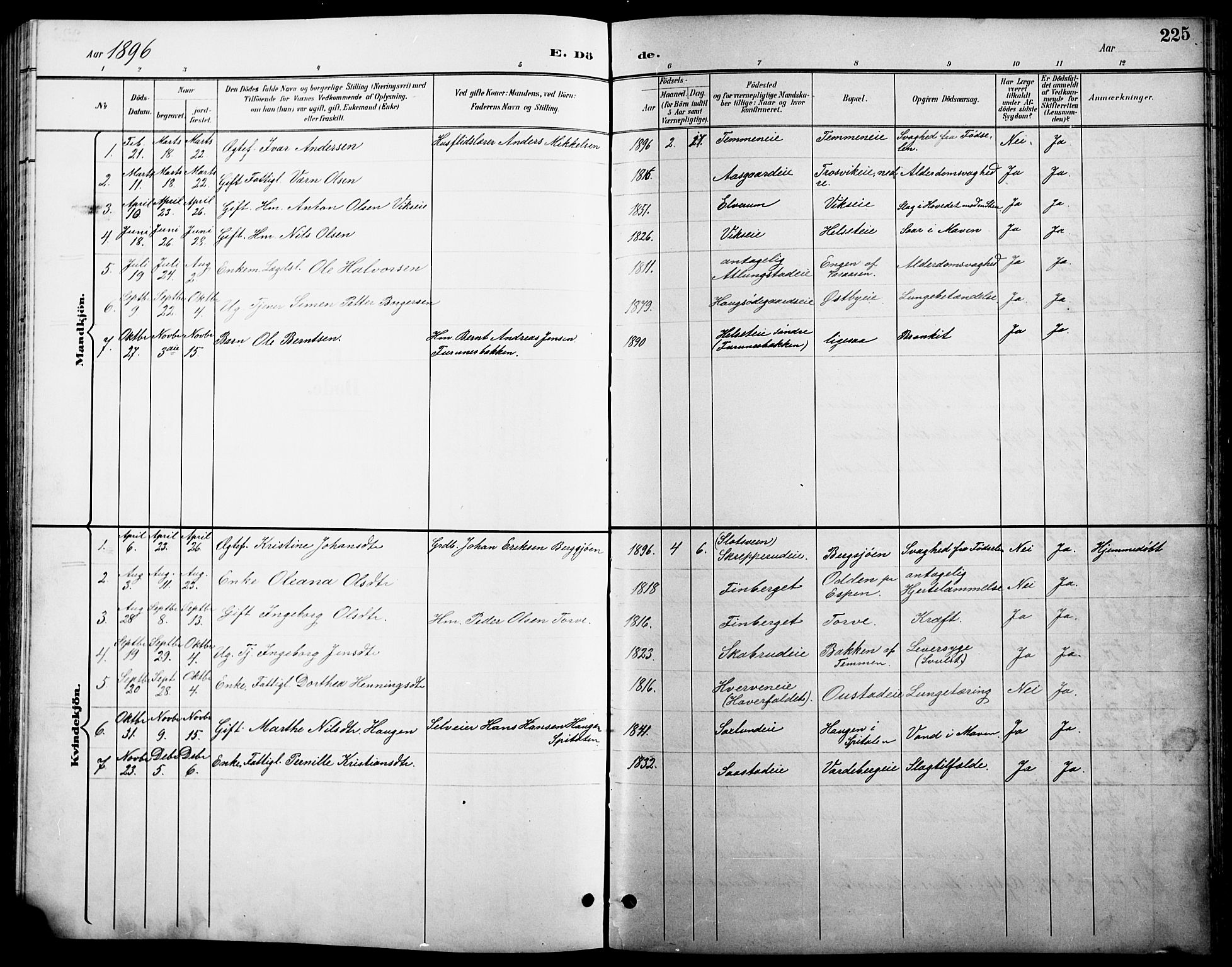 Stange prestekontor, AV/SAH-PREST-002/L/L0011: Parish register (copy) no. 11, 1895-1917, p. 225