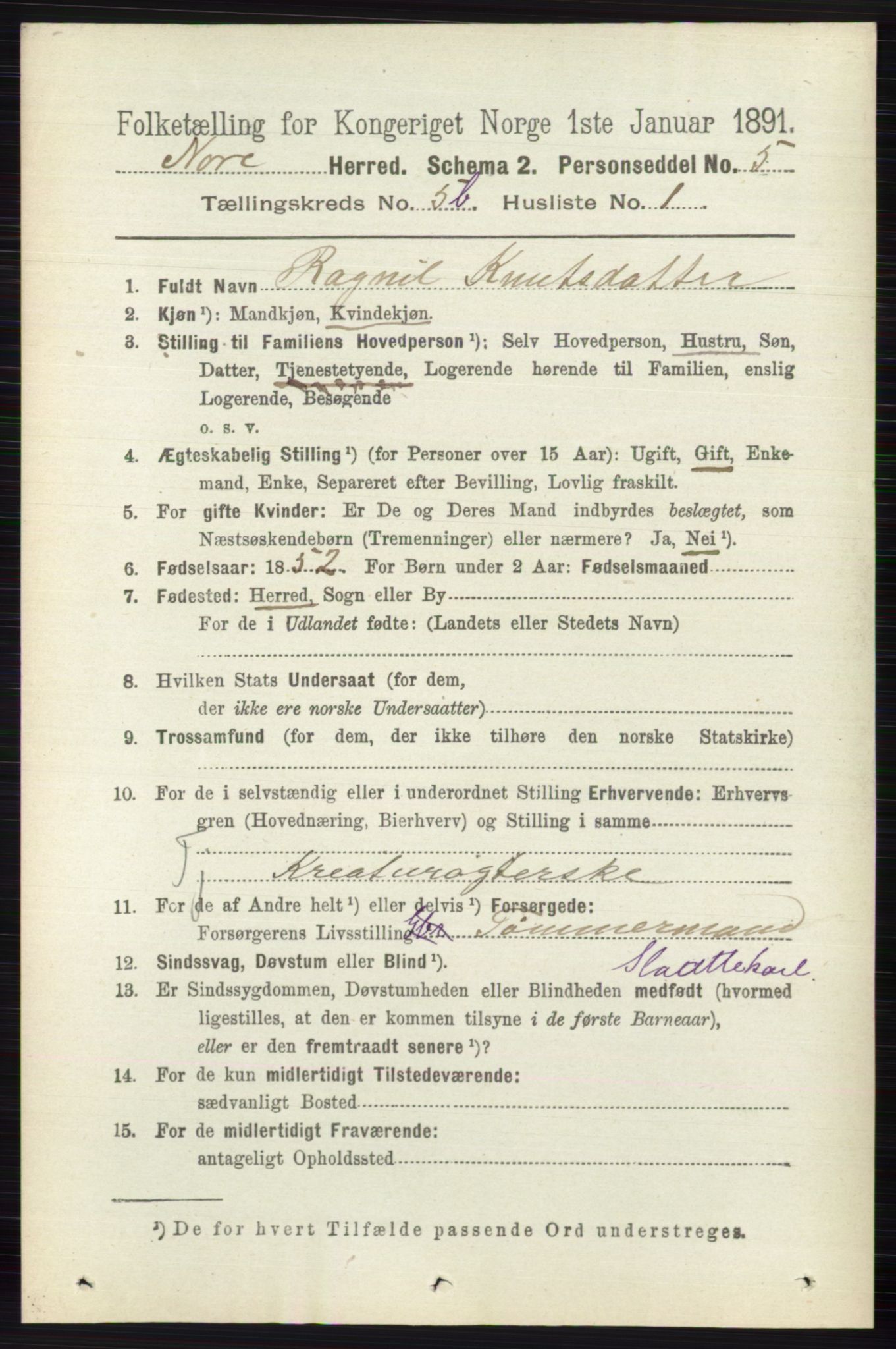 RA, 1891 census for 0633 Nore, 1891, p. 1782